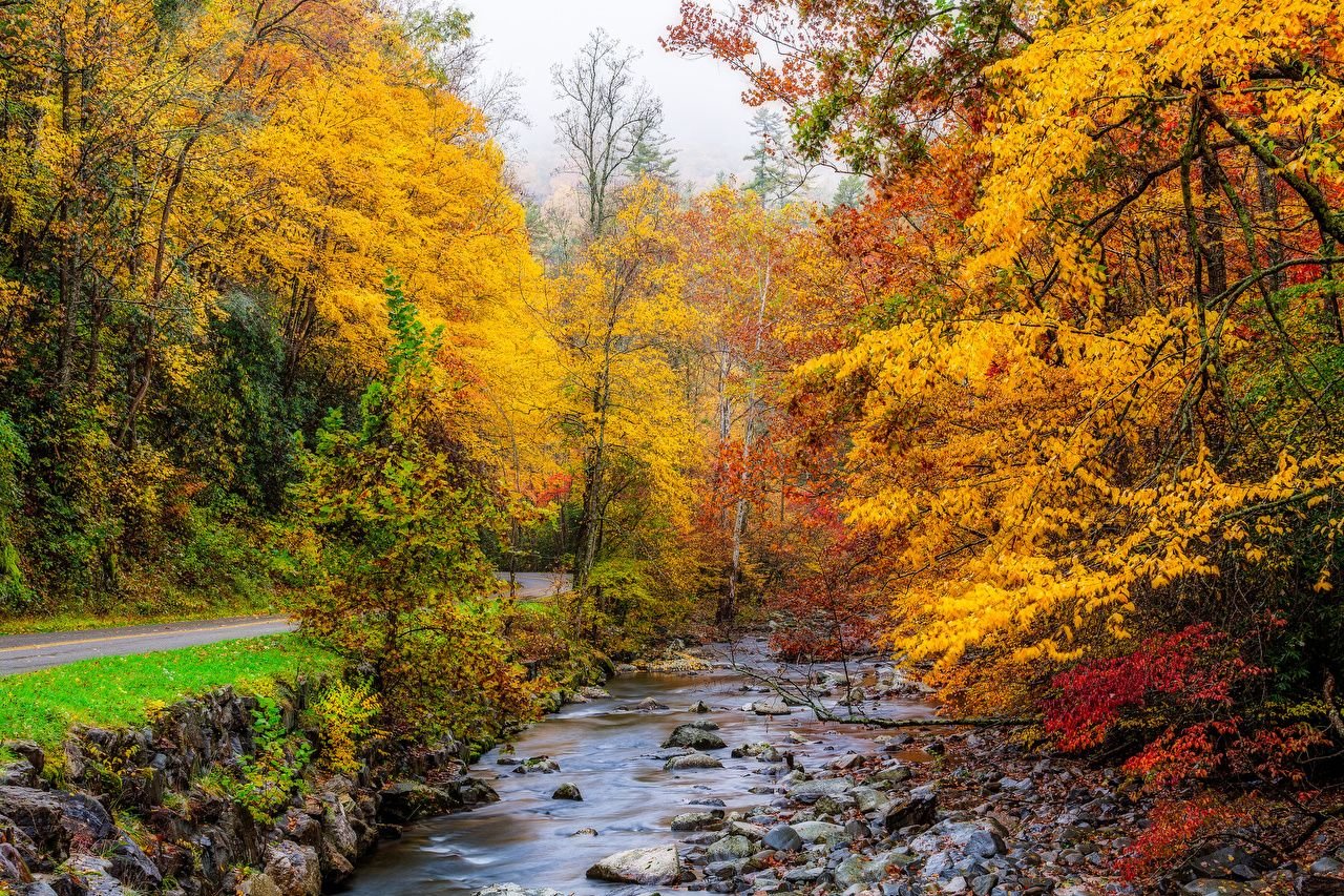 Photos USA Great Smoky Mountains Nature Creeks Autumn park forest