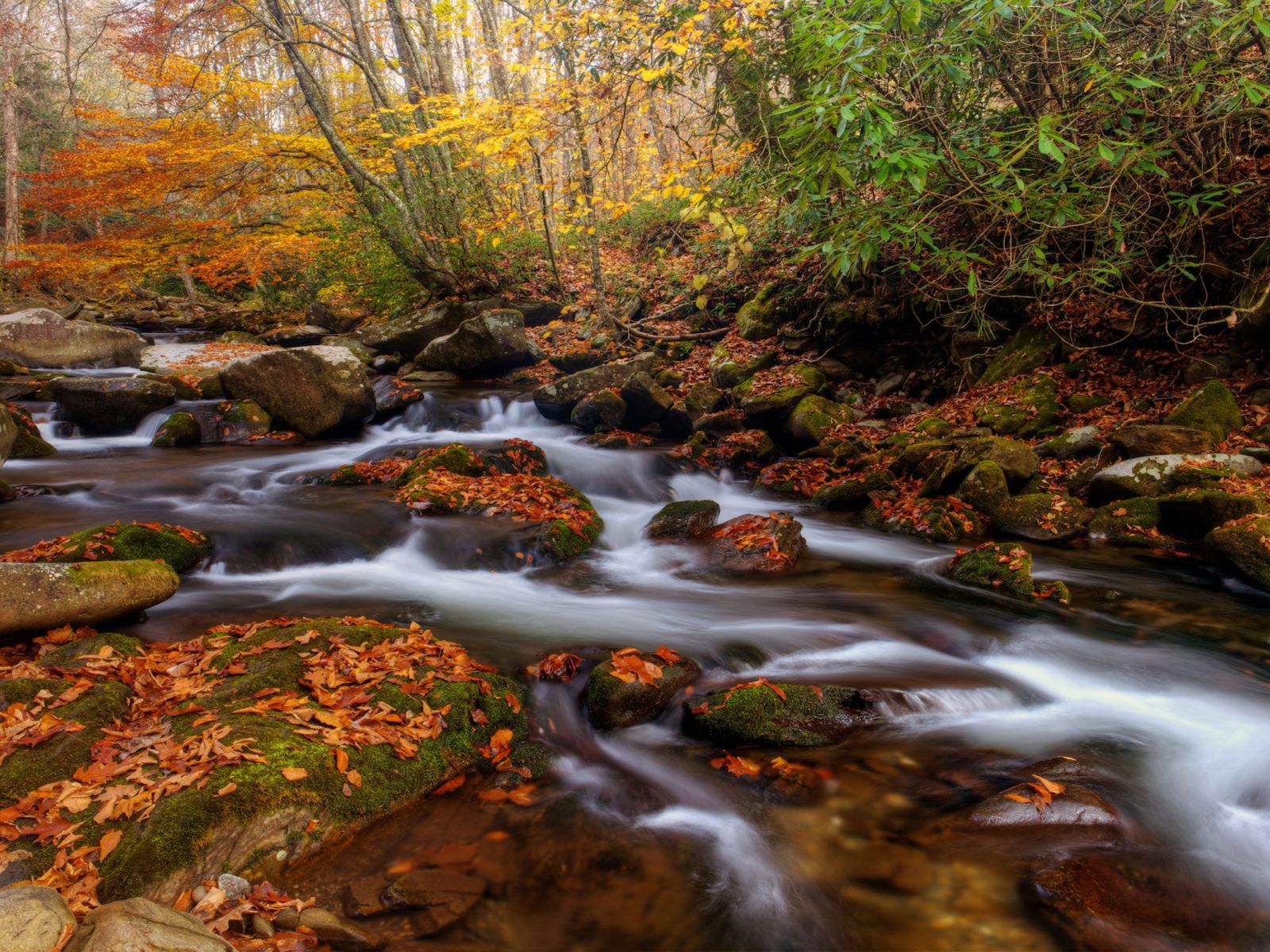 Great Smoky Mountains National Park Is Americas Oconaluftee River