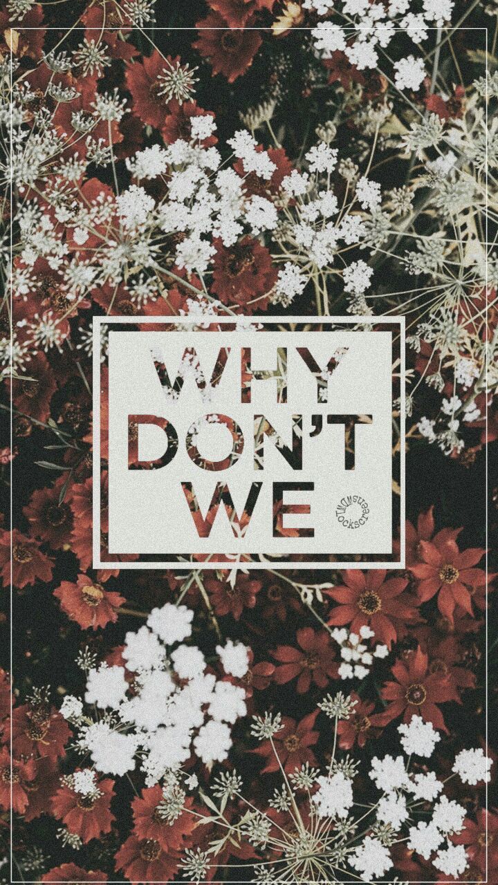 Why_Don't_We