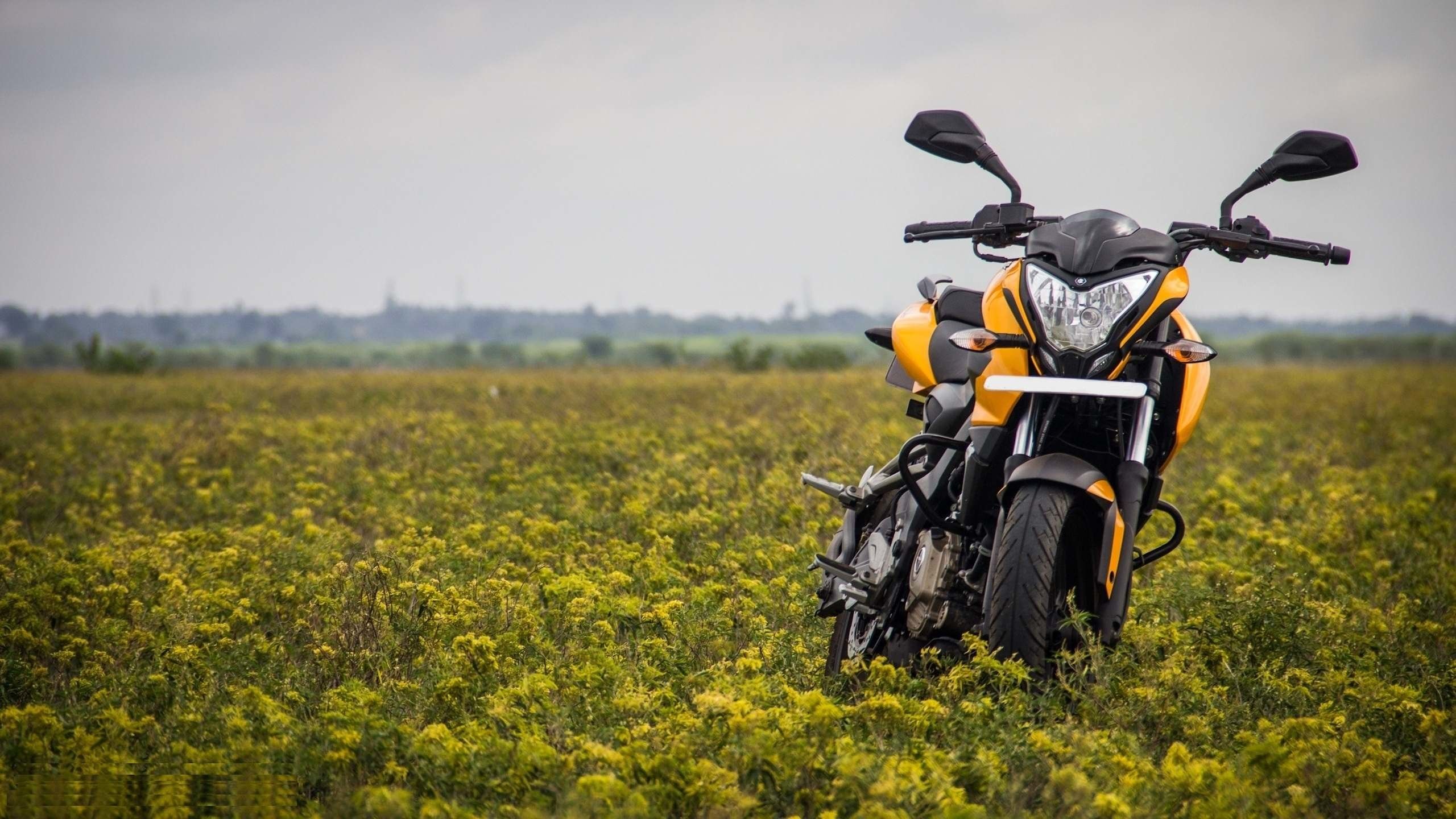 Full Screen Background