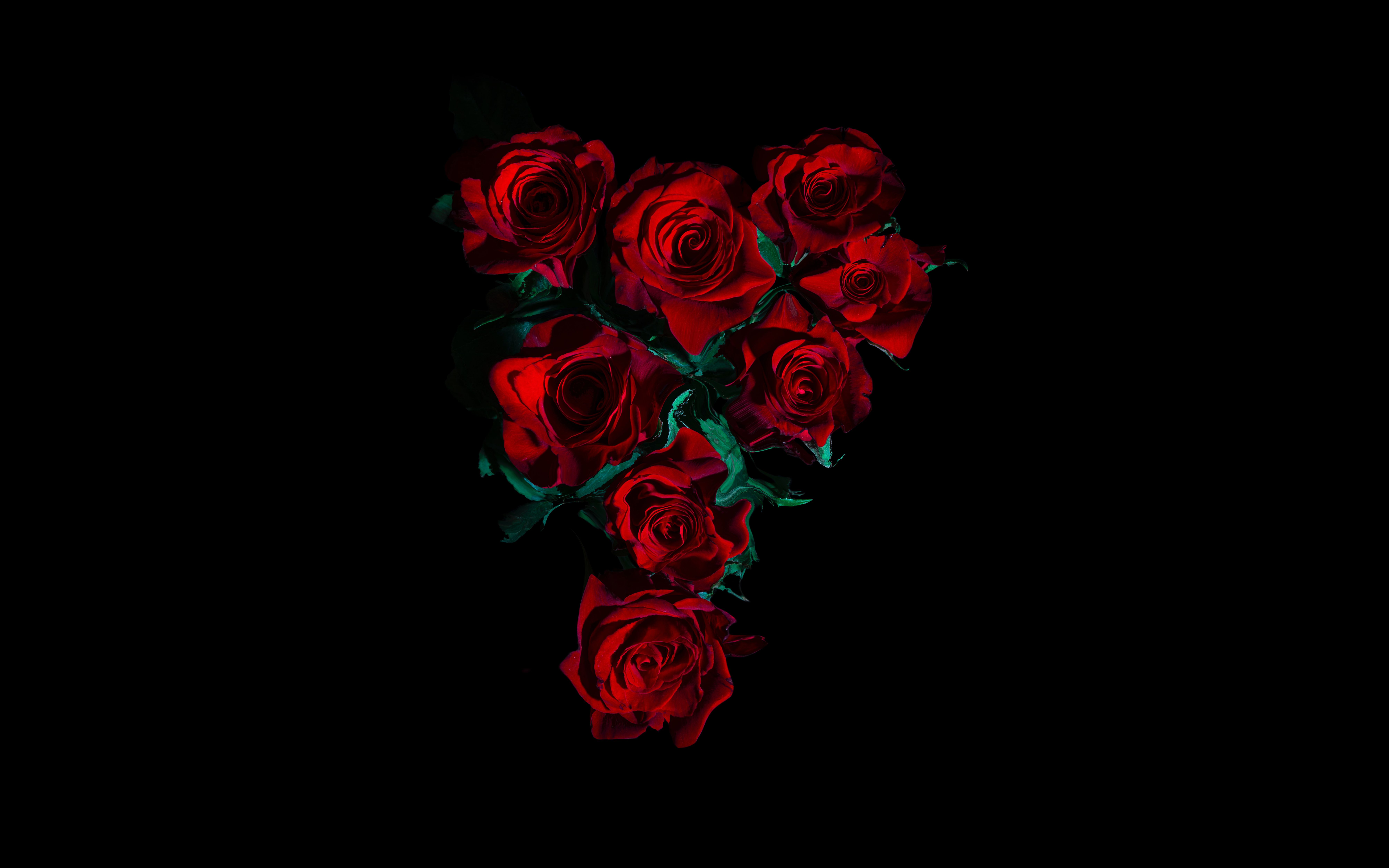 Red Roses 4K Wallpaper, Flower bouquet, Black background, 5K, 8K, Flowers