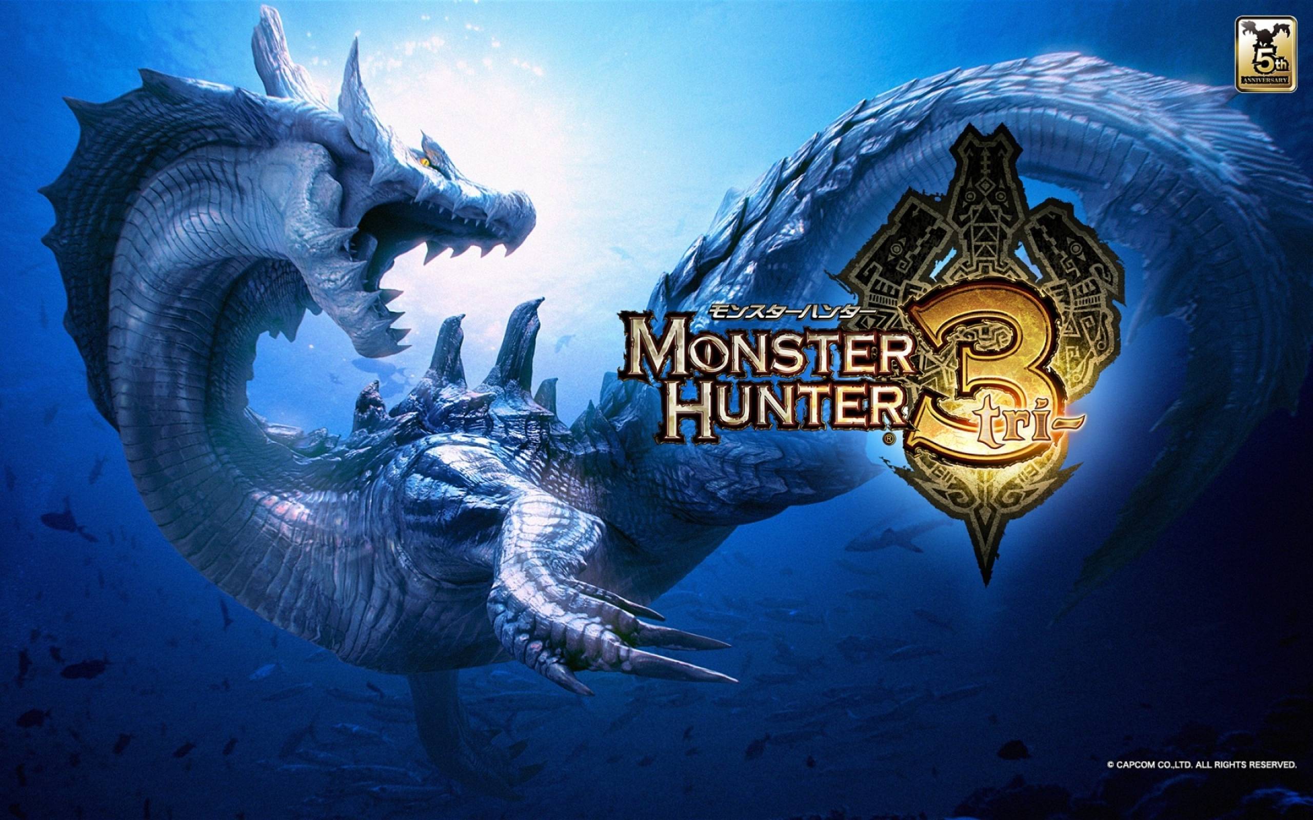 Monster Hunter Desktop Background