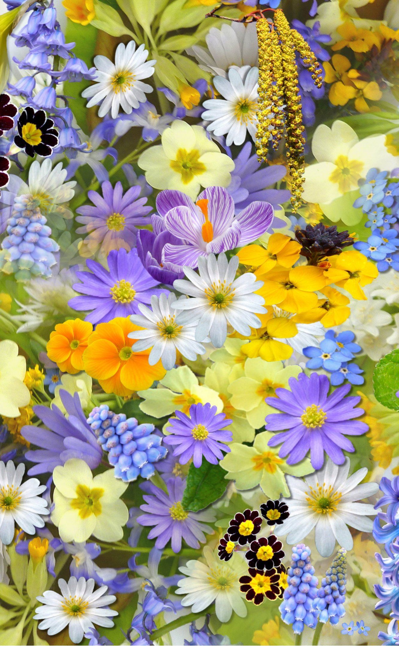 Spring Flowers Collage. Flores, Jardinería