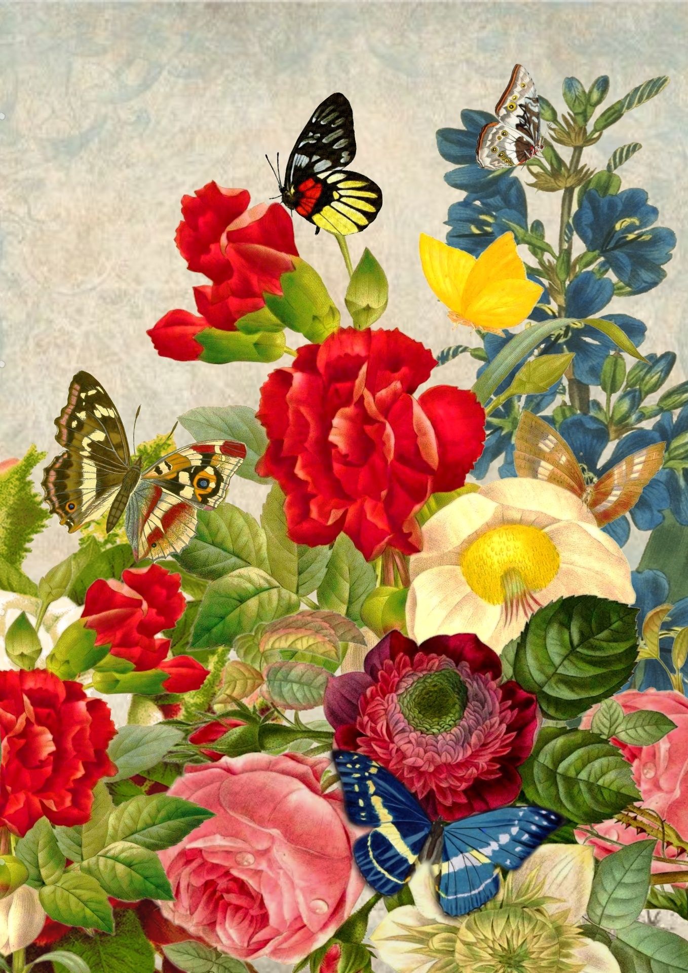 Butterfly Flower Collage Background Free