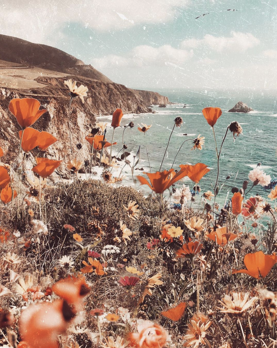 INSPIRATION 63 / SUPER BLOOM. Photo wall collage, Aesthetic