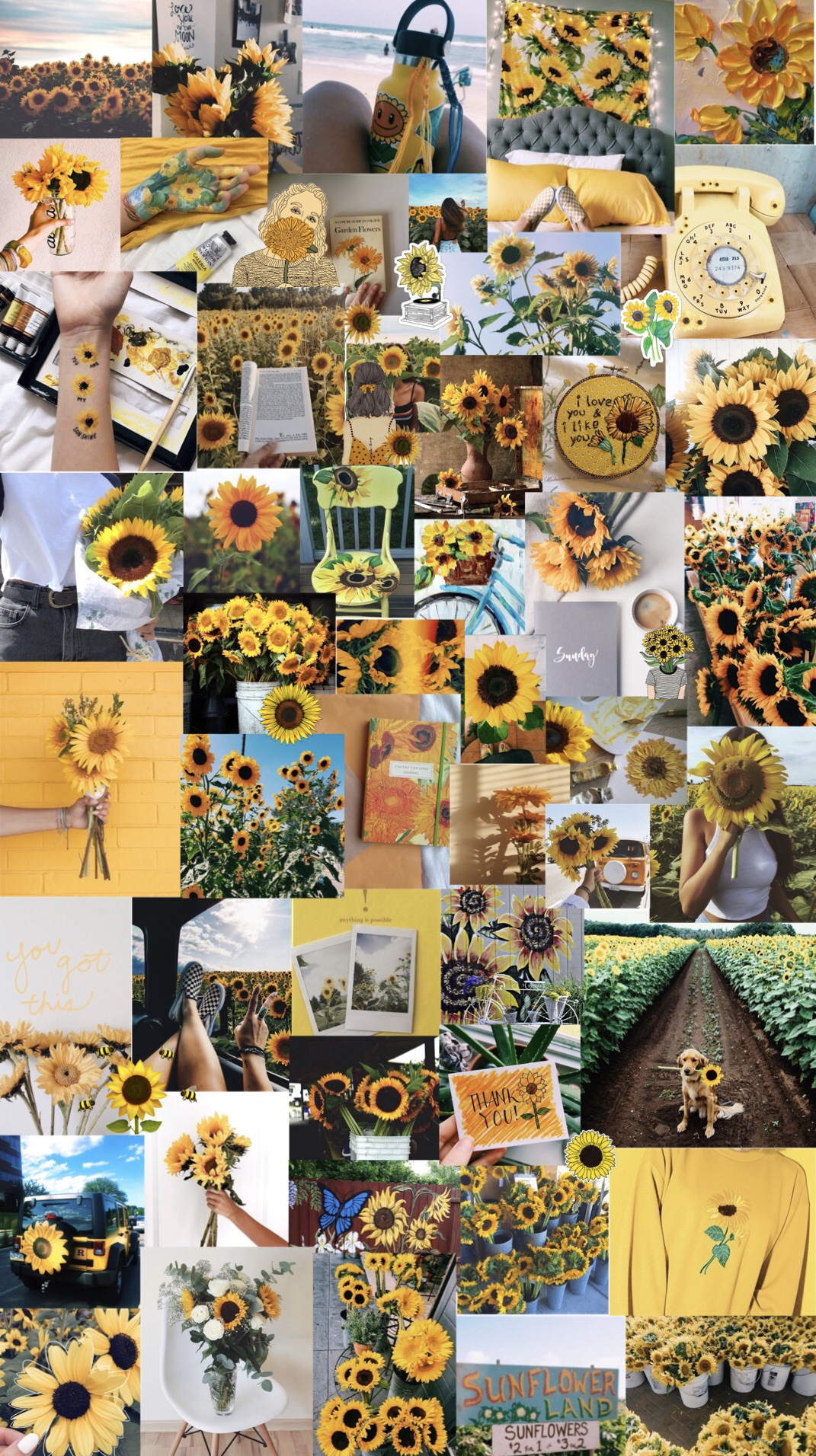 Arts. Sunflower wallpaper, Collage