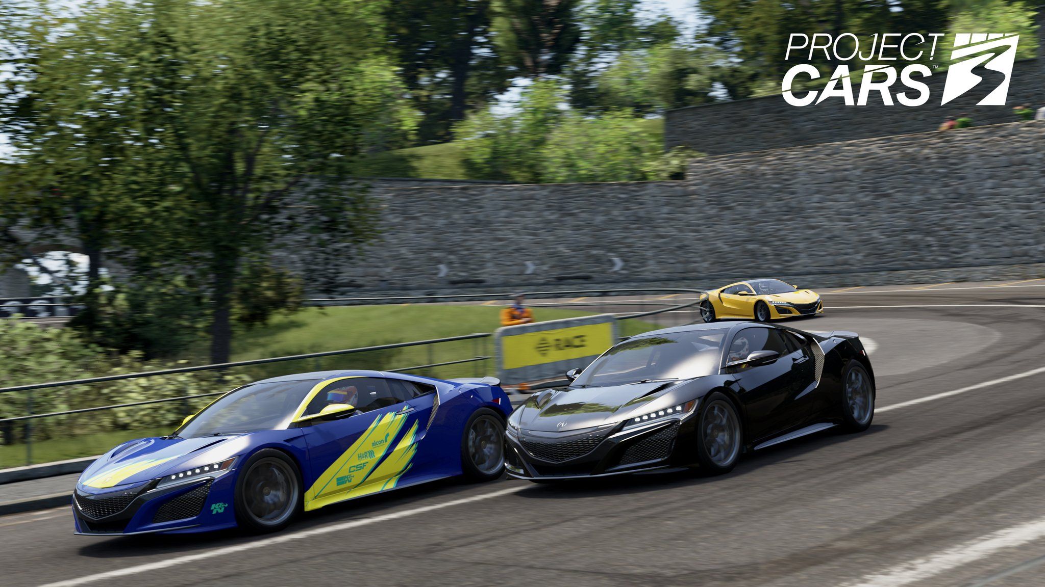 Project CARS #ProjectCARS you have a wide