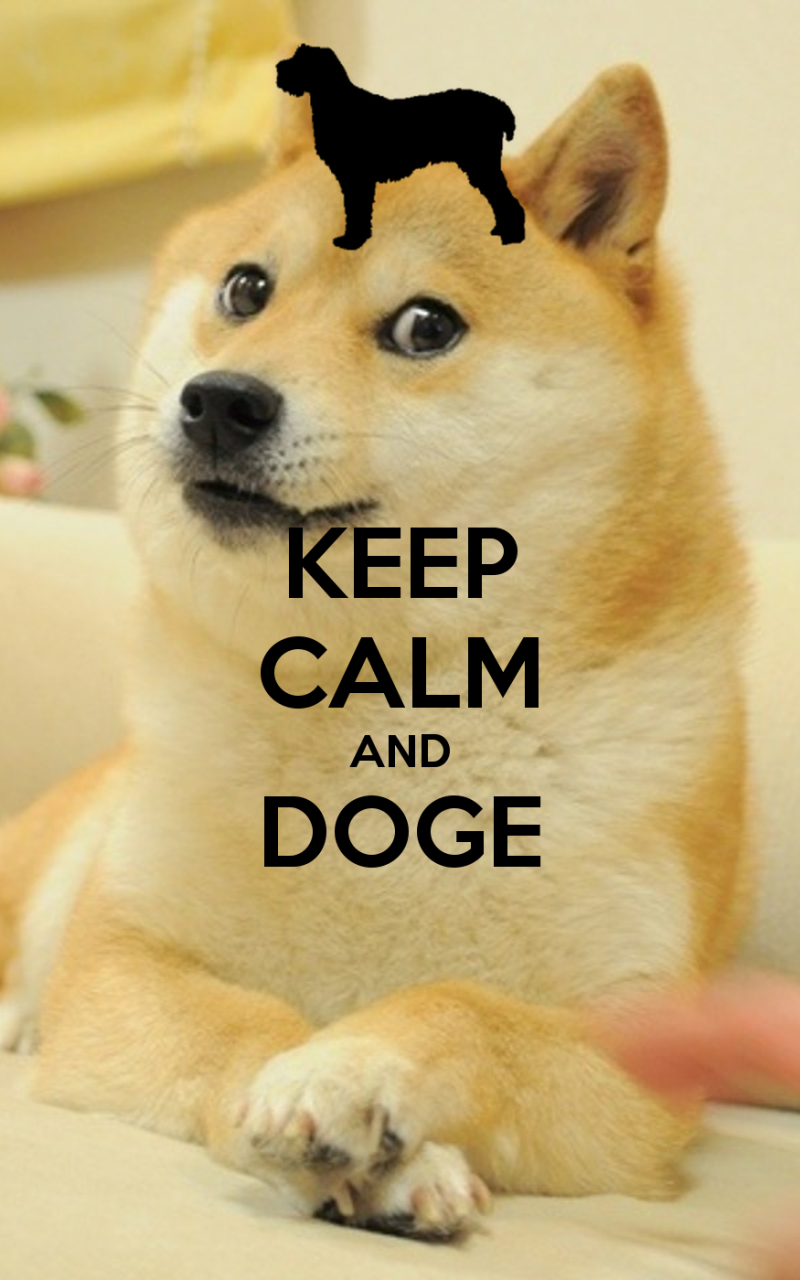 Doge Meme Desktop Background
