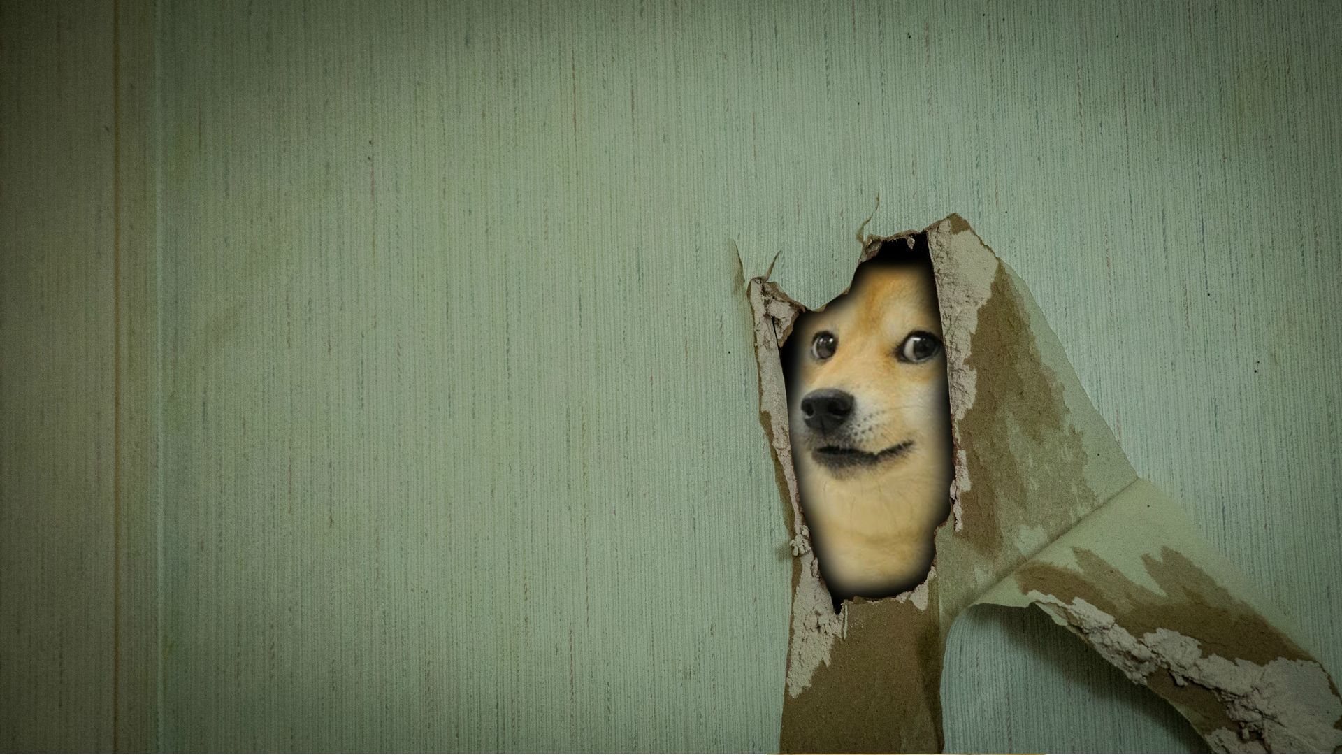 doge, Memes Wallpaper HD / Desktop and Mobile Background