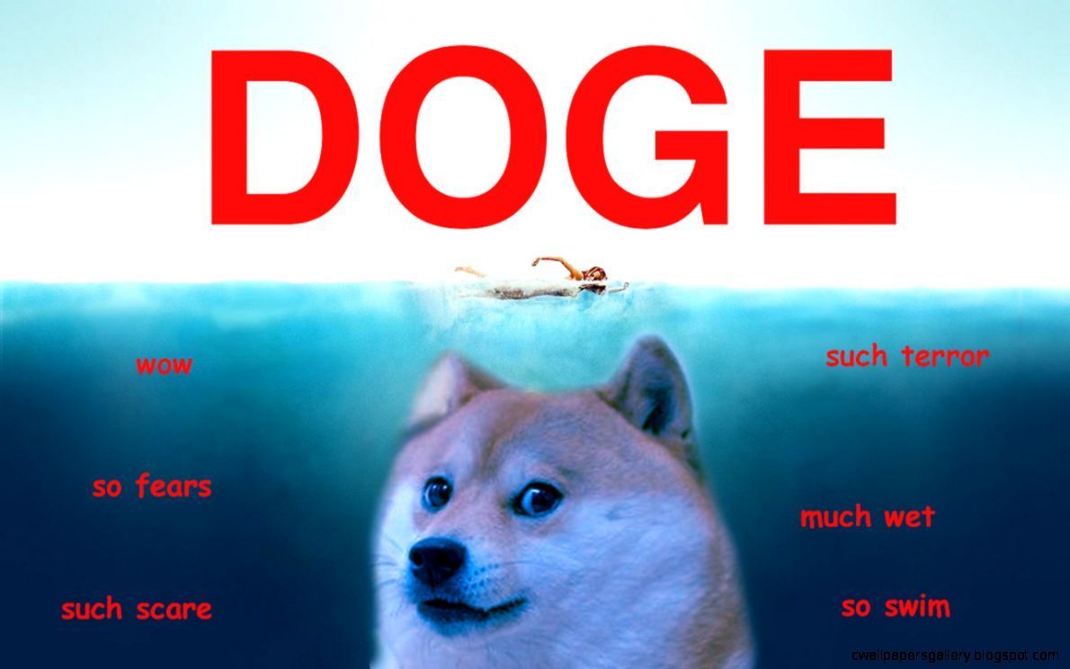 Doge Meme Wallpaper. Doge meme, Funny picture, Dog jokes