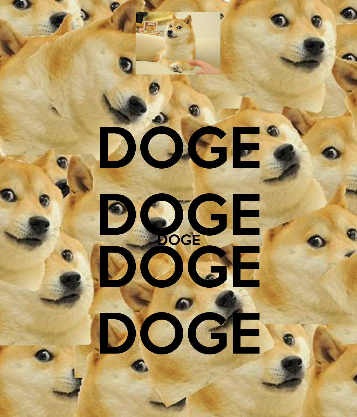 doge backgrounds