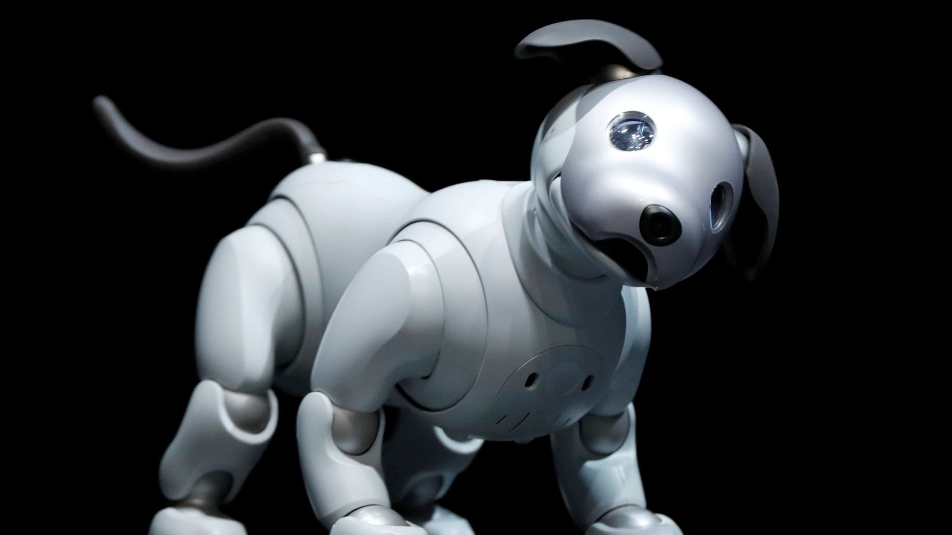 Wallpaper Sony Aibo, Robot, Dog, HD, Hi Tech