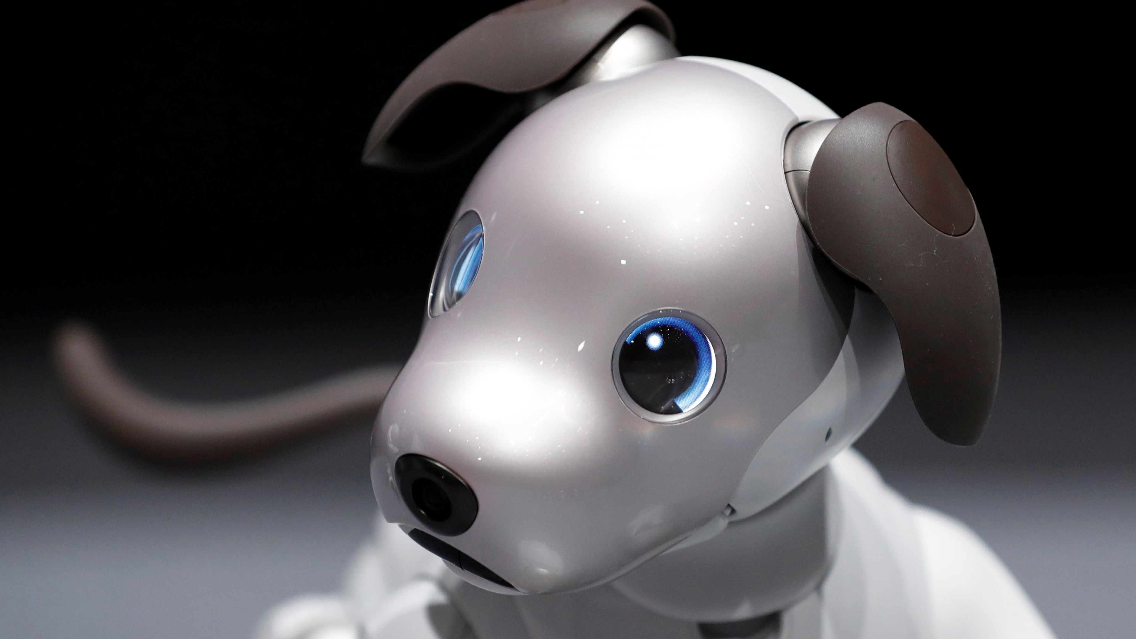 Wallpaper Sony Aibo, Robot, Dog, 4k, Hi Tech