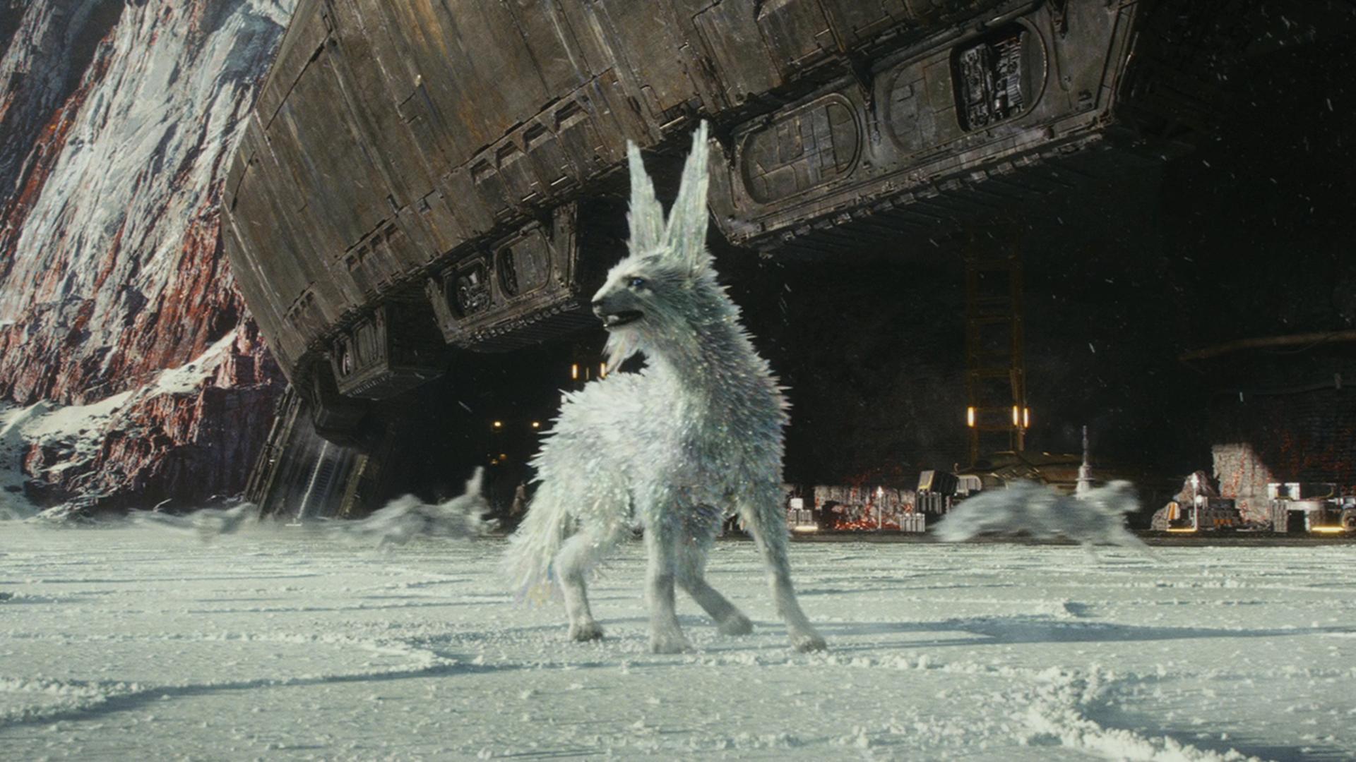 Animal, Canine, Dog, Mammal, Pet resized