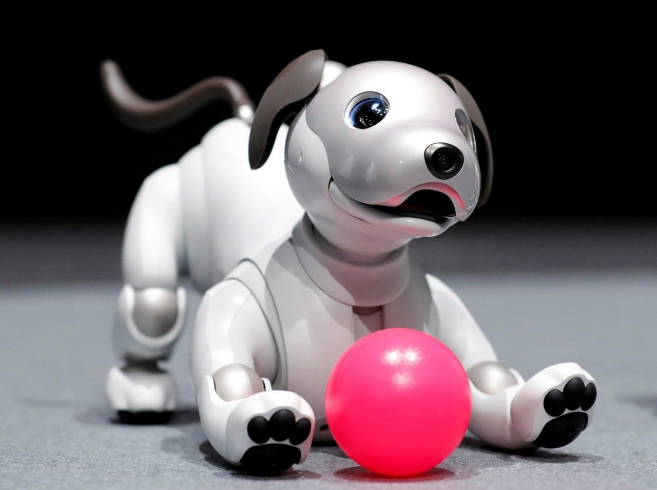 Sony sells thousands of Aibo robot dogs as it considers US launch