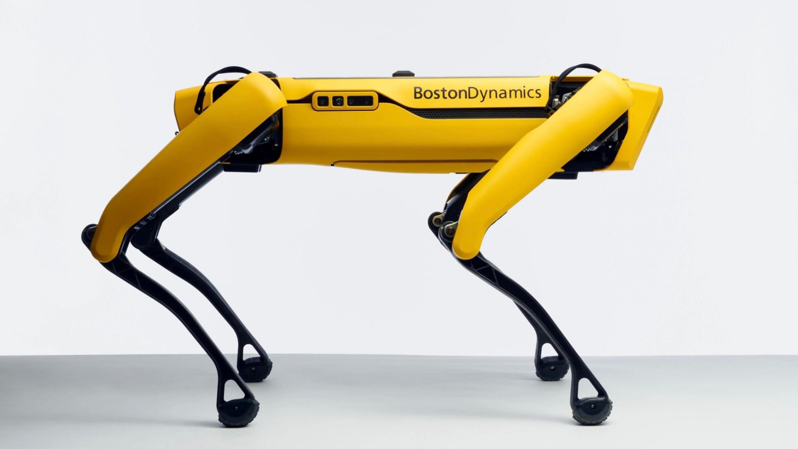 Wallpaper Robot Dog Spot, Boston Dynamics, Hi Tech