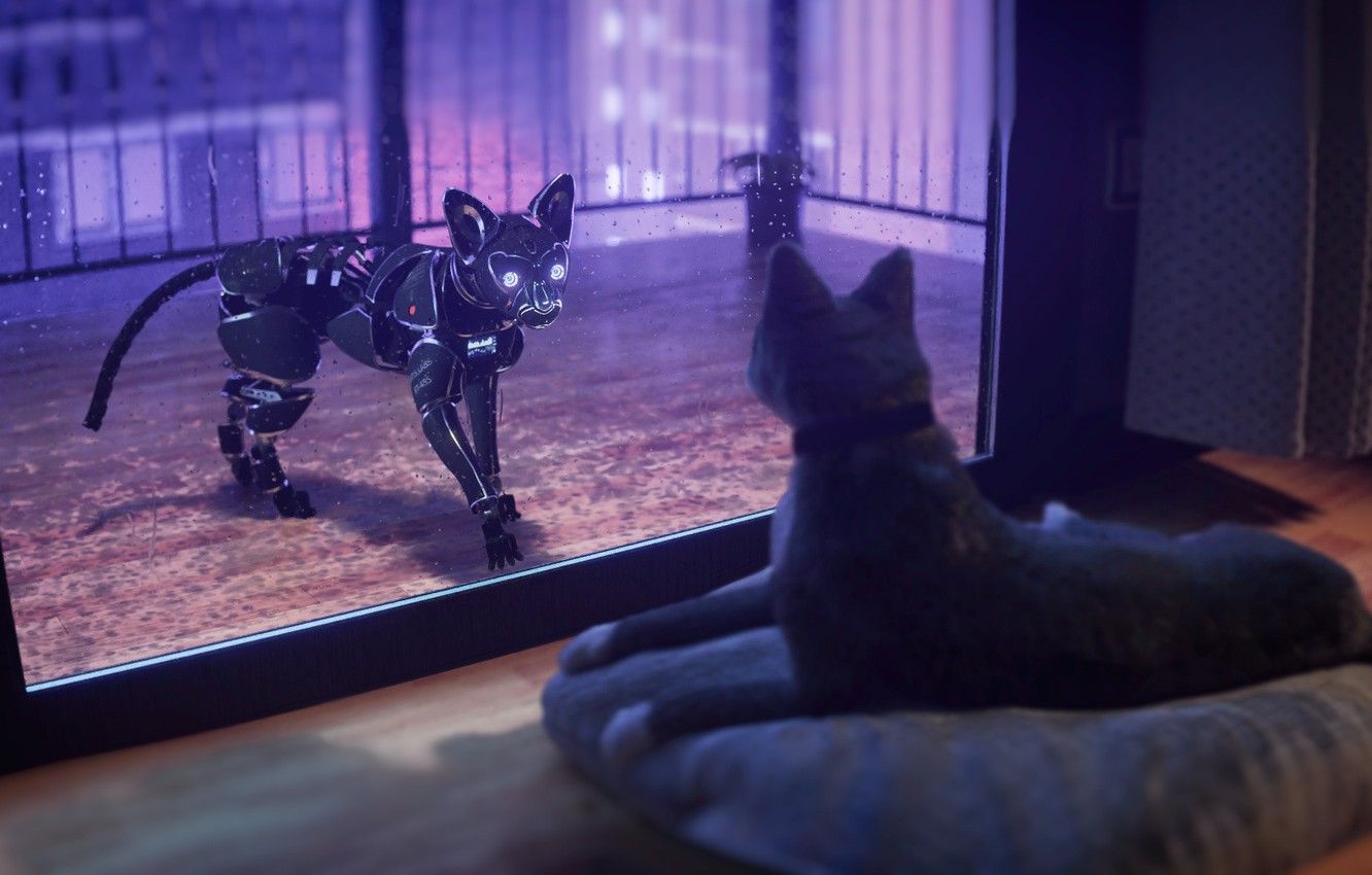 Wallpaper Cat, Future, Robot, Cat, Window, Fantasy, Art, Art