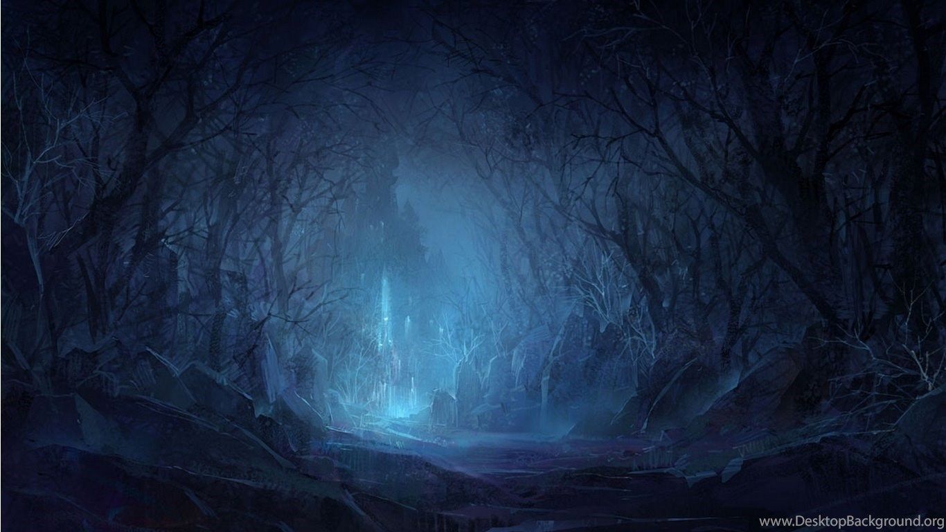 Wallpaper Dalmaiton Dogs Mysterious Dark And Blue Forest Natural