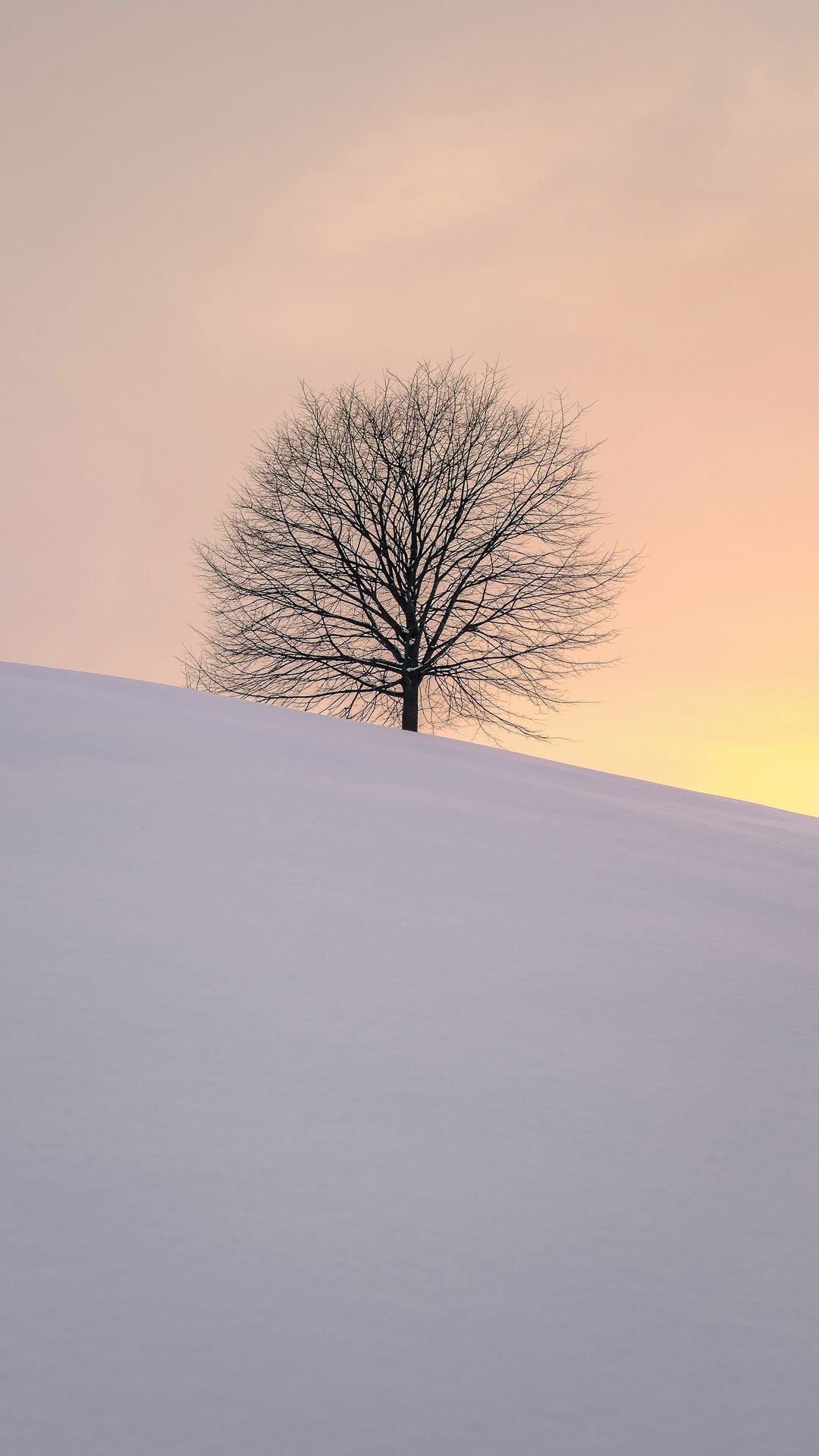 Download wallpaper 1080x1920 tree, winter, minimalism, snow