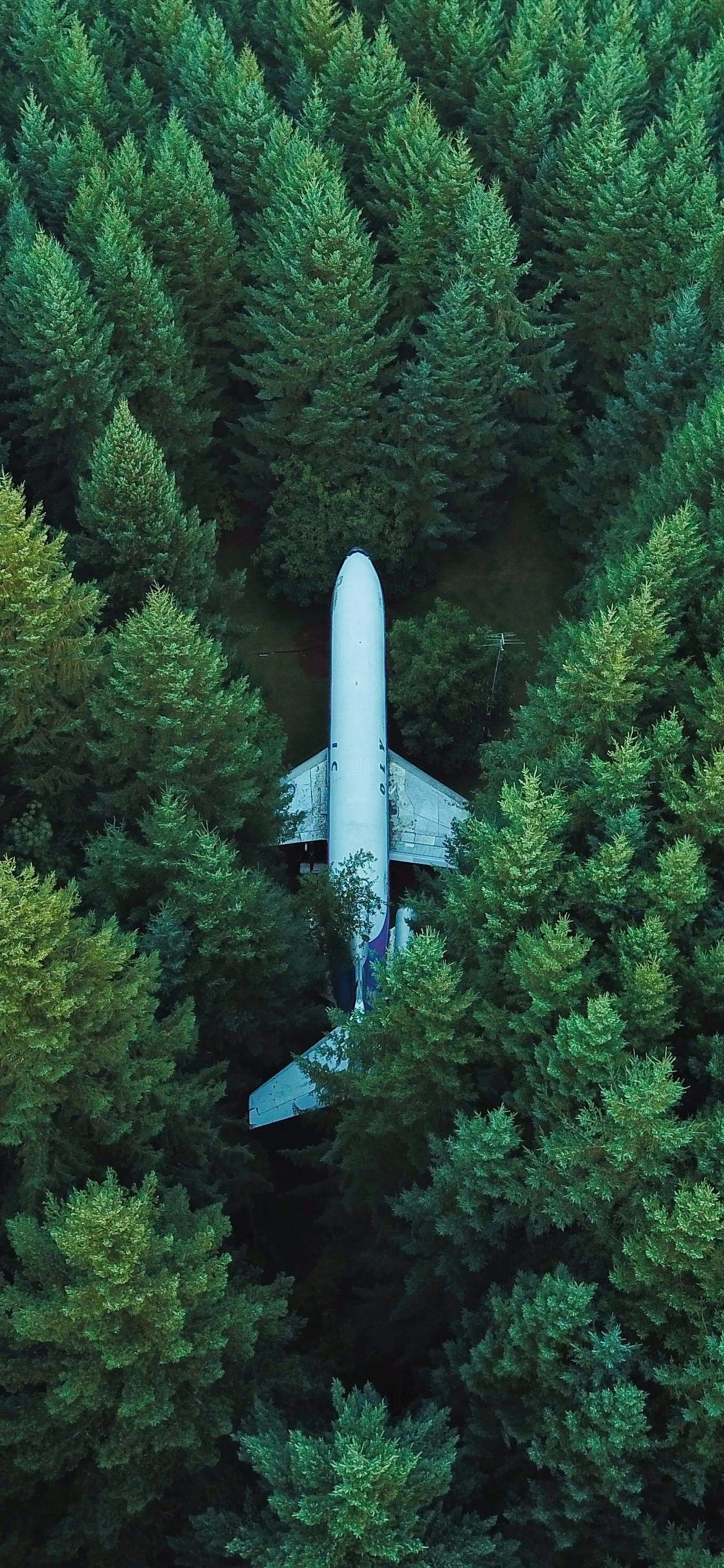 Plane In Middle Of Forest 4k iPhone XS MAX HD 4k