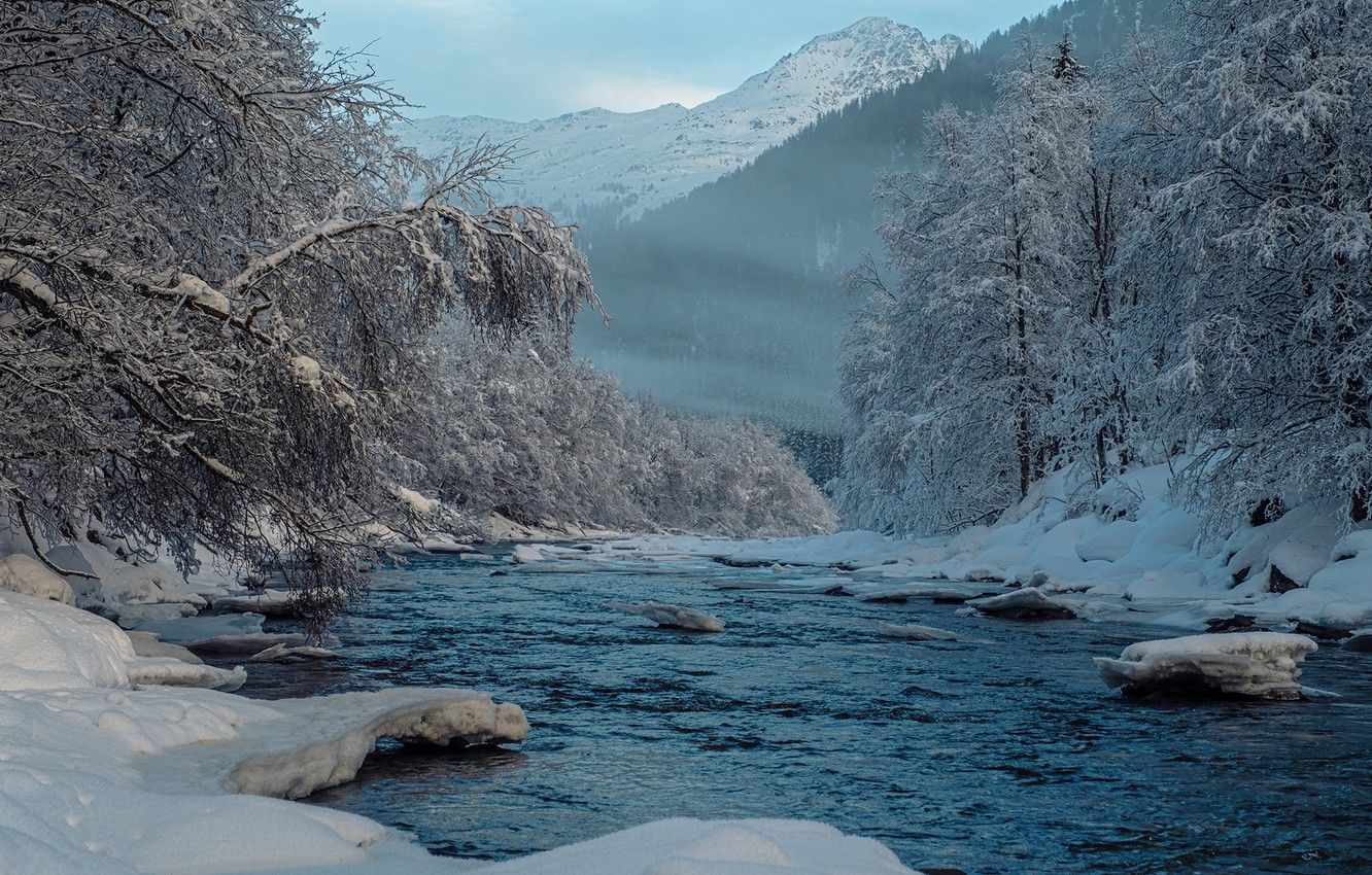 Wallpaper winter, forest, snow, trees, mountains, river