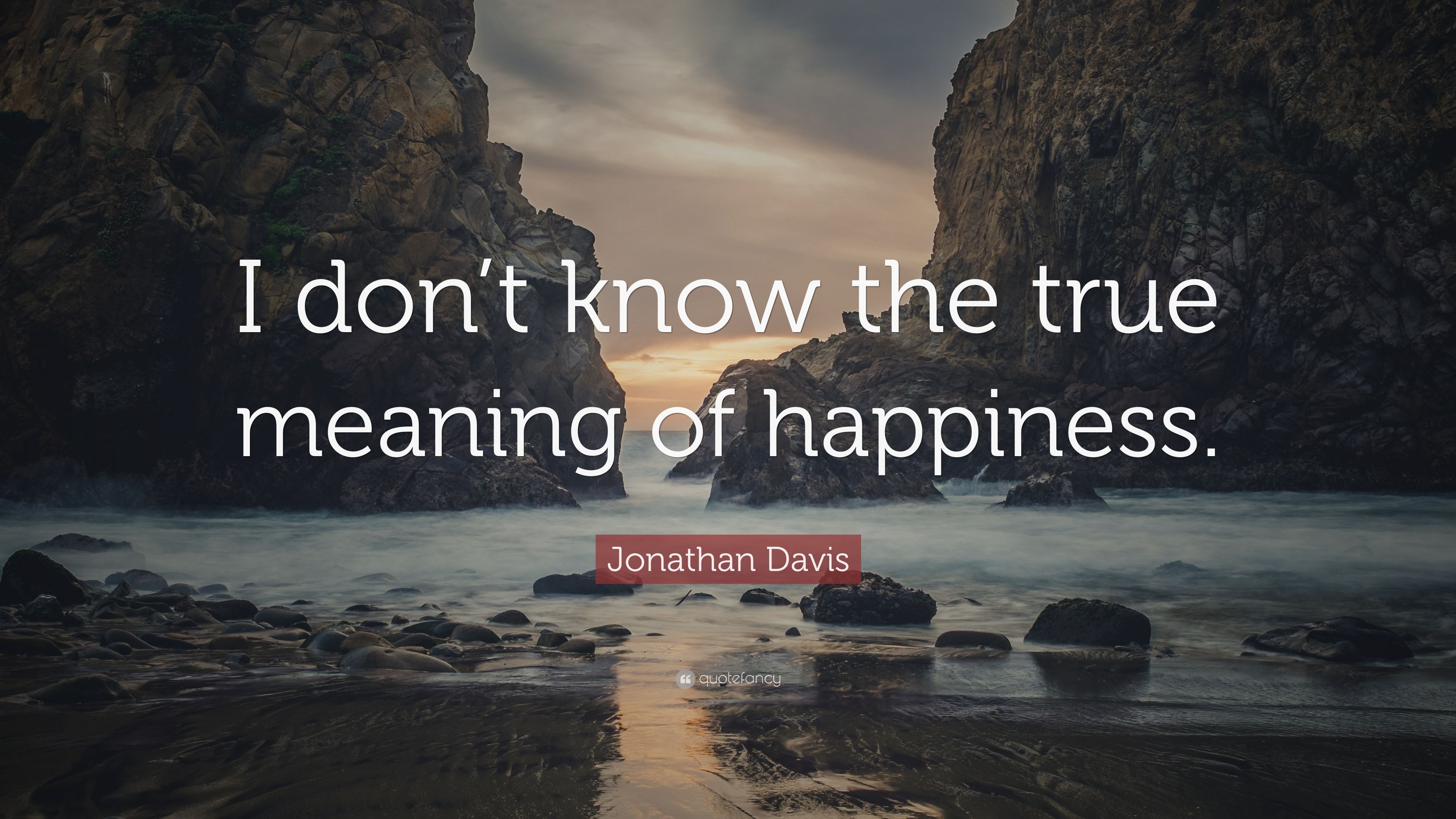 Jonathan Davis Quote: "I don't know the true meaning of happiness...