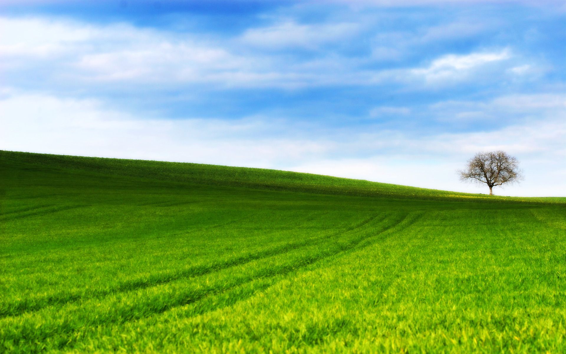 Anime Landscape With Green Hills, Trees And Blue Sky. Generative AI. Stock  Photo, Picture and Royalty Free Image. Image 205372770.