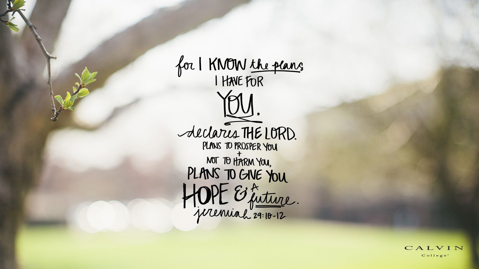 Bible Verse HD Wallpaper