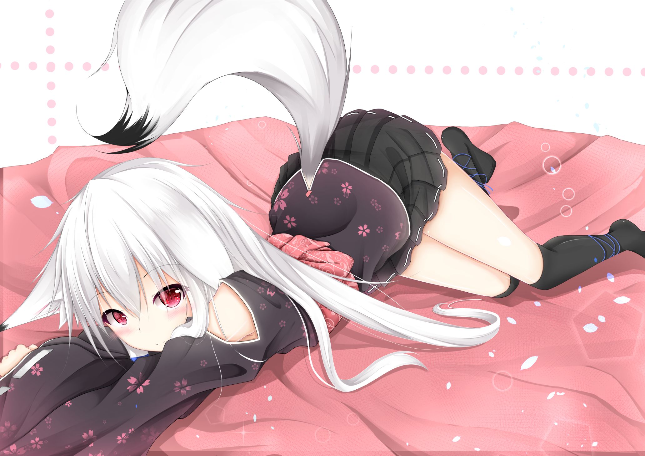 Kawaii White Haired Fox Girl HD Wallpaper. Background Image