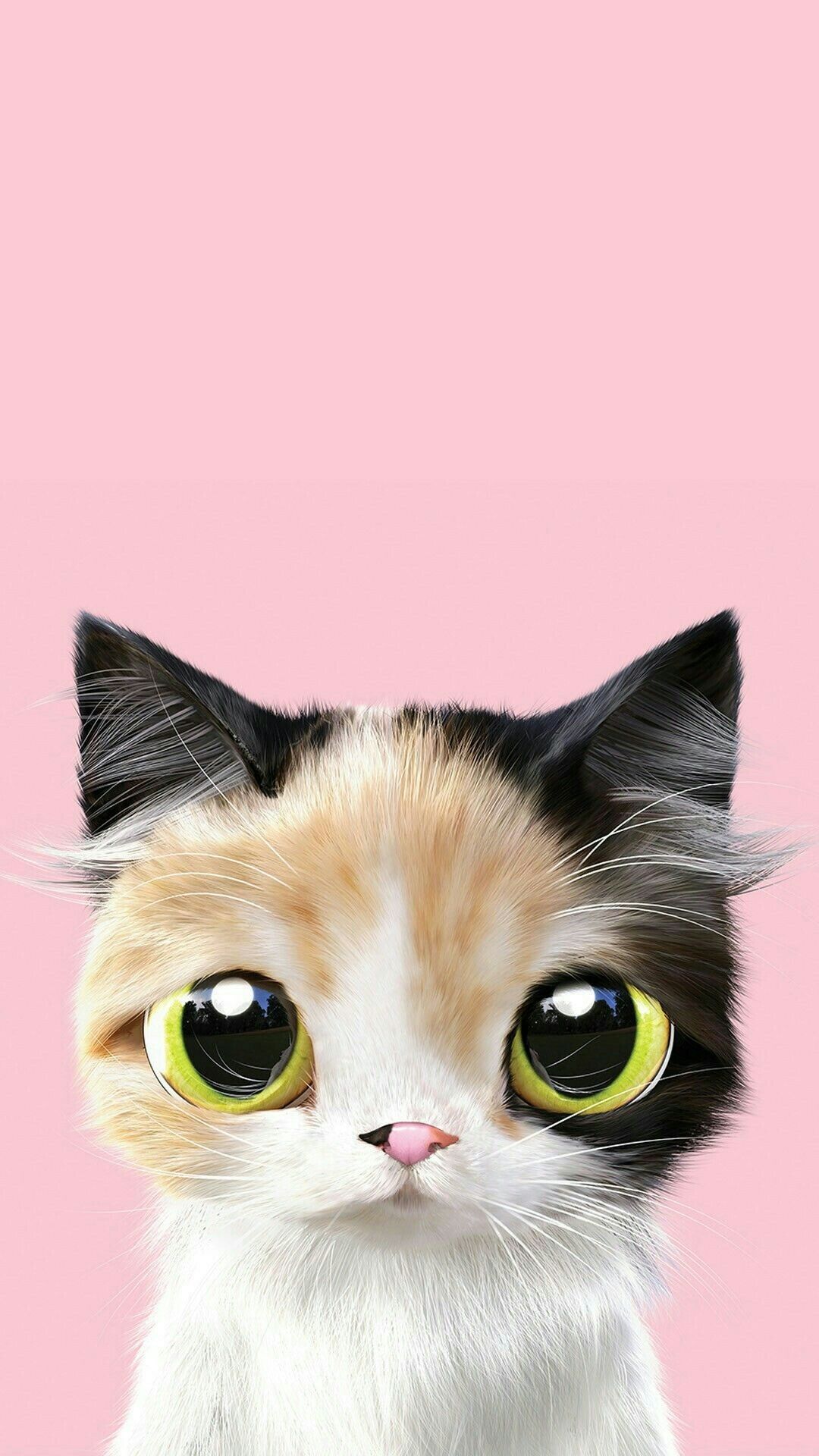 IPhone Wallpaper. Cat, Small To Medium Sized Cats, Whiskers