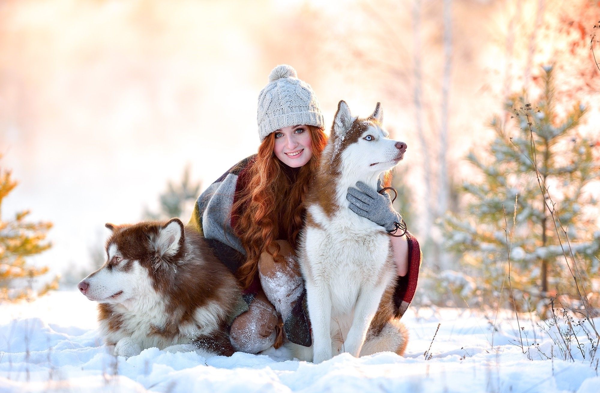 winter, Dog, Model, Animals, Women Wallpaper HD / Desktop