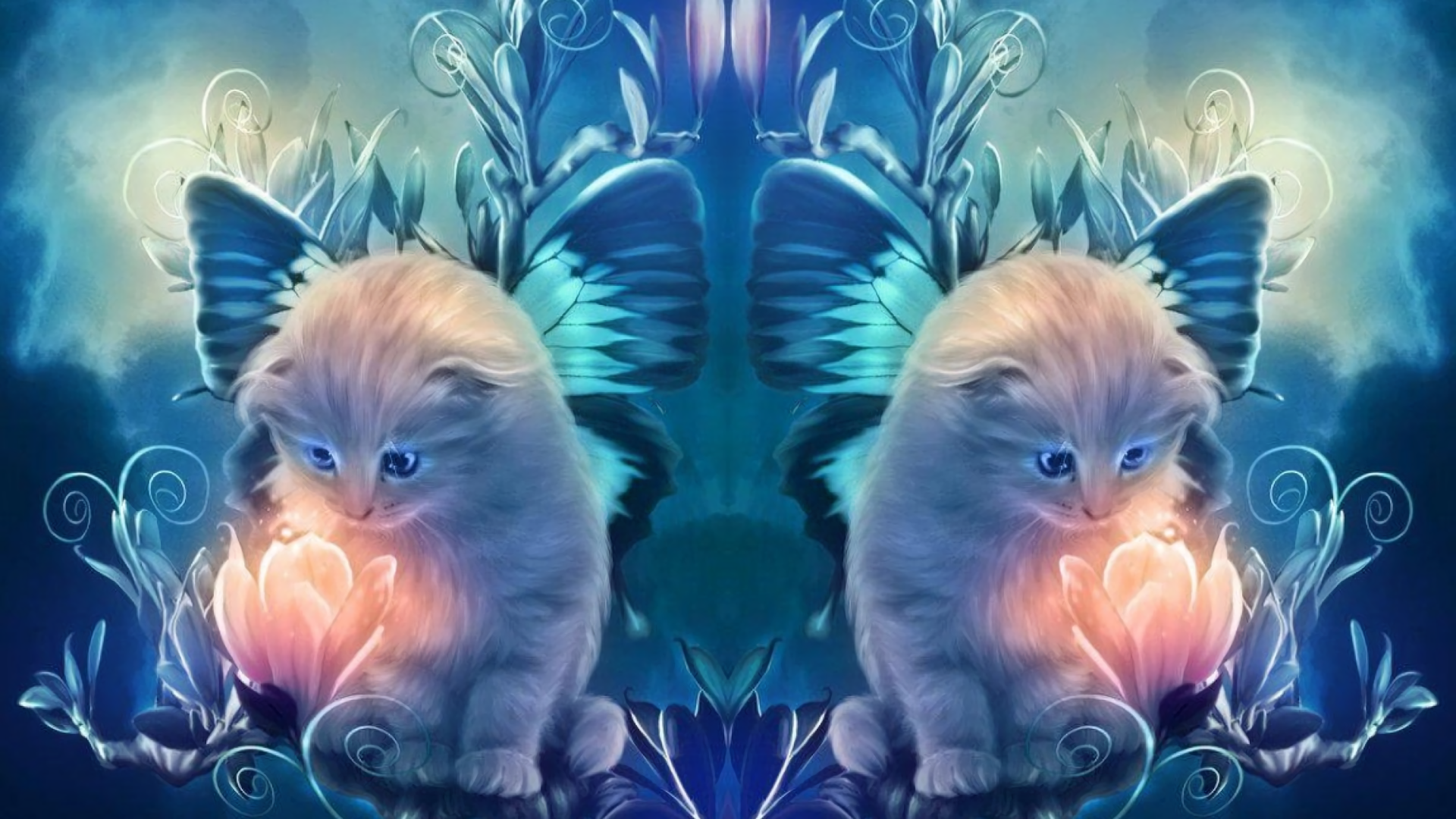 Angel cats HD Wallpaper