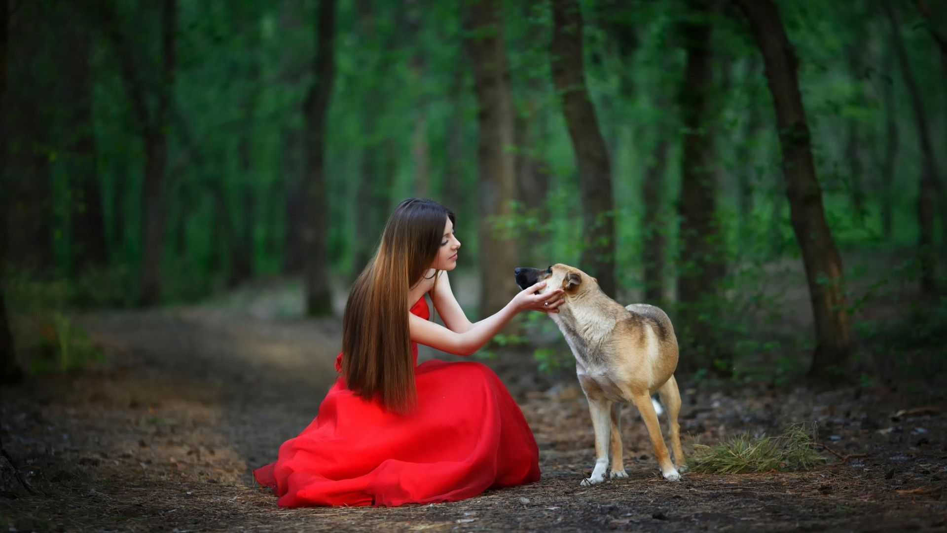 women animals dog brunette straight hair red dress trees Wallpaper HD / Desktop and Mobile Background