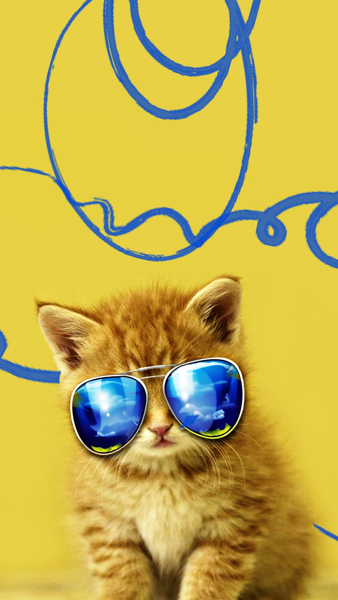 Summer Cat Wallpaper