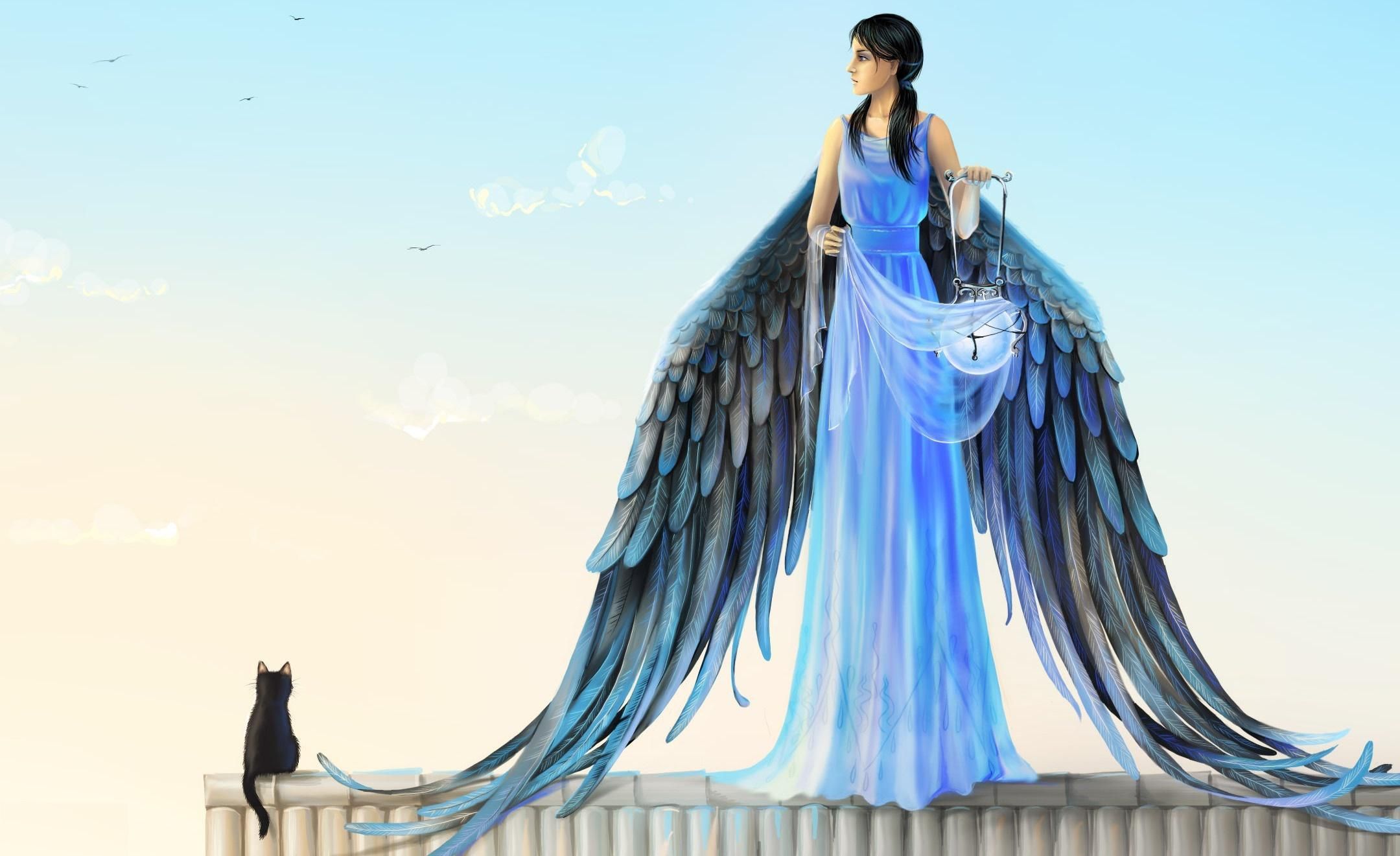 wallpaper girl, angel, wings, cat, roof lamp HD, Widescreen