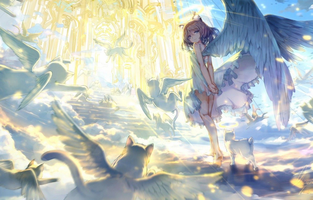 Wallpaper animals, the sky, cat, girl, clouds, light, wings, angel