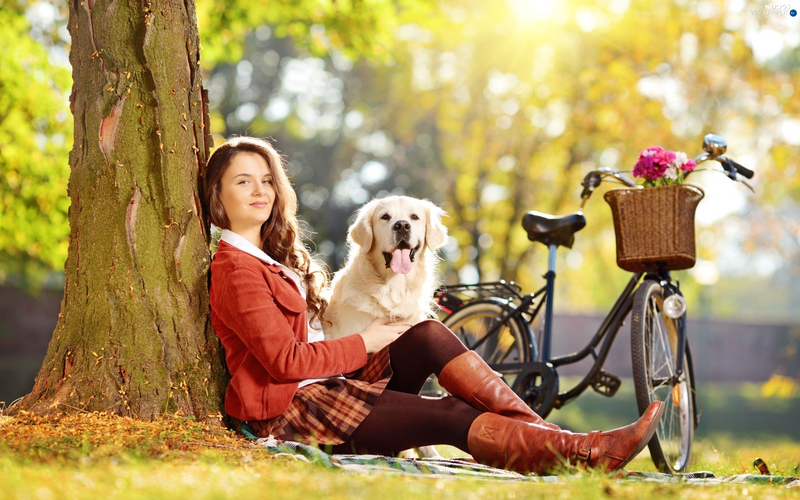 Retriever, golden, Women, dog wallpaper: 2560x1600