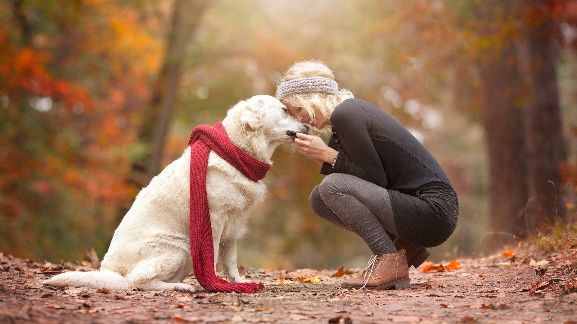 women outdoors, #laughing, #crouching, #animals, #dog, #fall, #blonde. Wallpaper No. 138360. Dog photohoot, Girl and dog, Dog photo