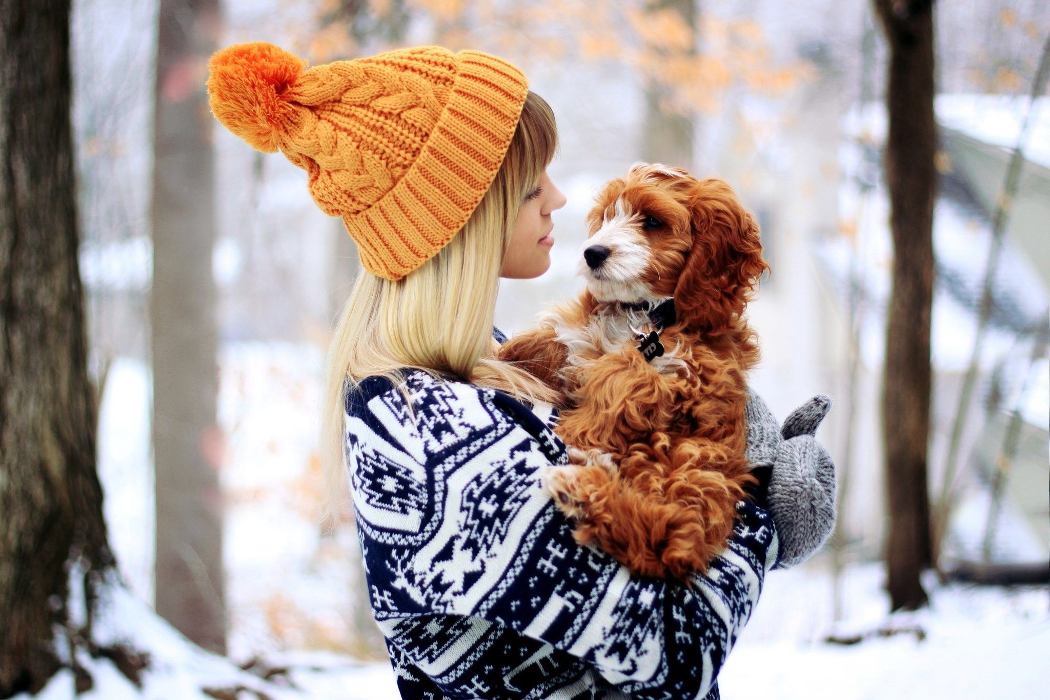 snow, Gloves, Dog, Women, Bonnet Wallpaper HD / Desktop