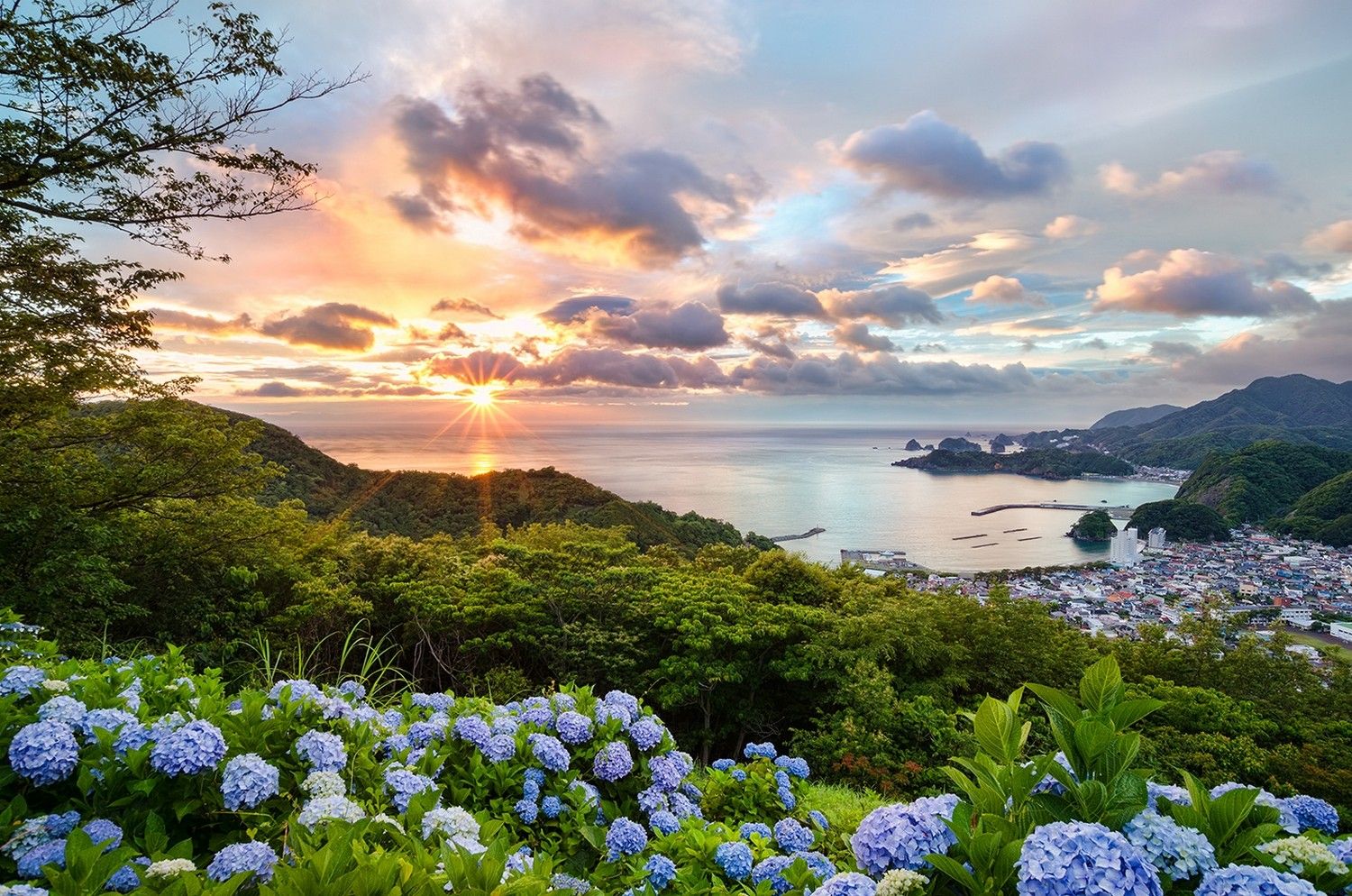 #sunset, #blue, #sea, #bay, #hills, #cityscape, #green, #flowers, #clouds, #hydrangea, #purple, #orange, #blue flowers, #nature, #Japan, # summer, #landscape, #trees, #ports, wallpaper HD Wallpaper