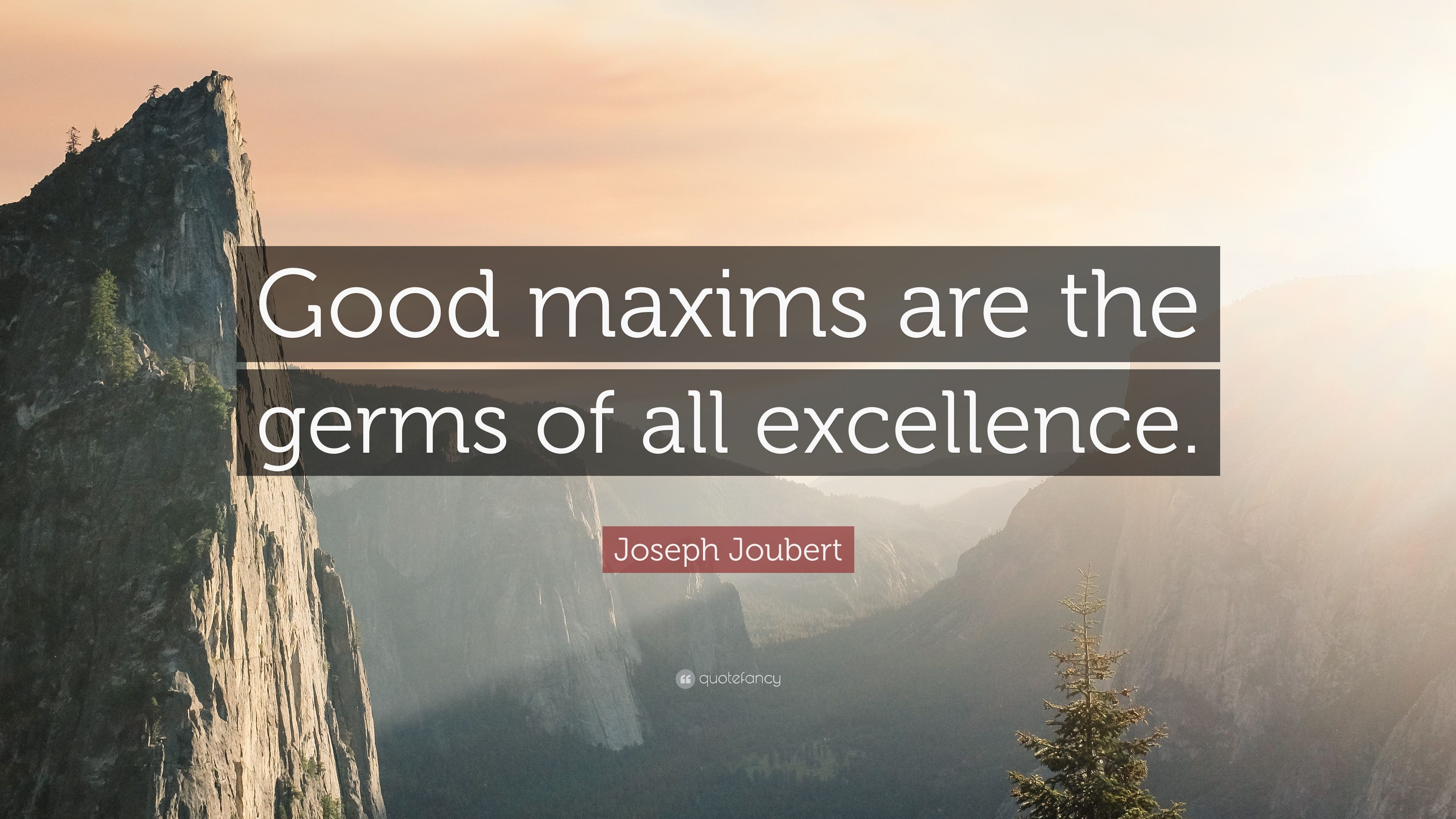 Joseph Joubert Quote: “Good maxims are the germs of all excellence