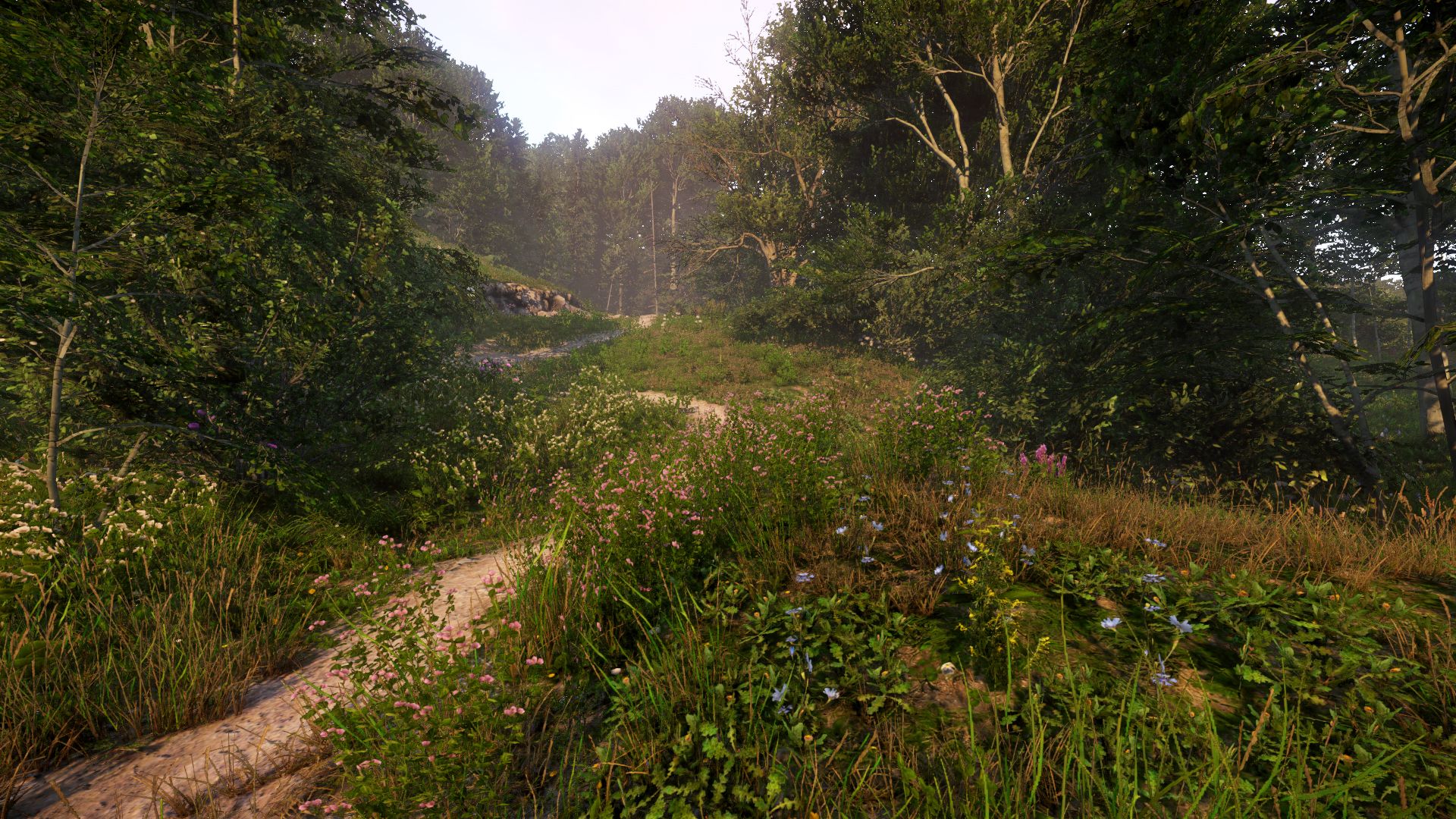 Nordschleife hell at Kingdom Come: Deliverance Nexus and community