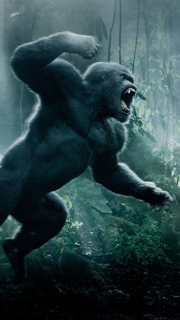 Wallpaper 2016 movie, The Legend of Tarzan 2560x1600 HD Picture, Image