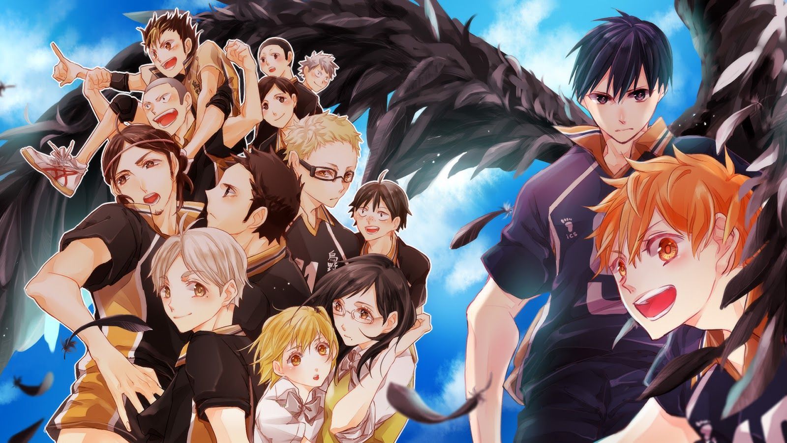 Karasuno Wallpaper