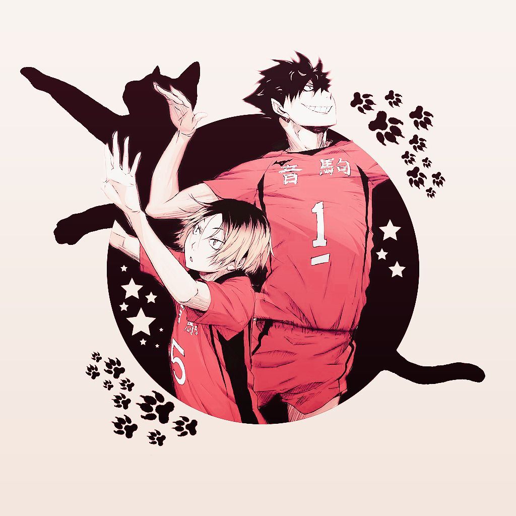 Nekoma Und Karasuno Karasuno Vs Nekoma Haikyuu KUYE Nekoma Und Karasuno Karasuno Vs Nekoma Haikyuu KUYE
