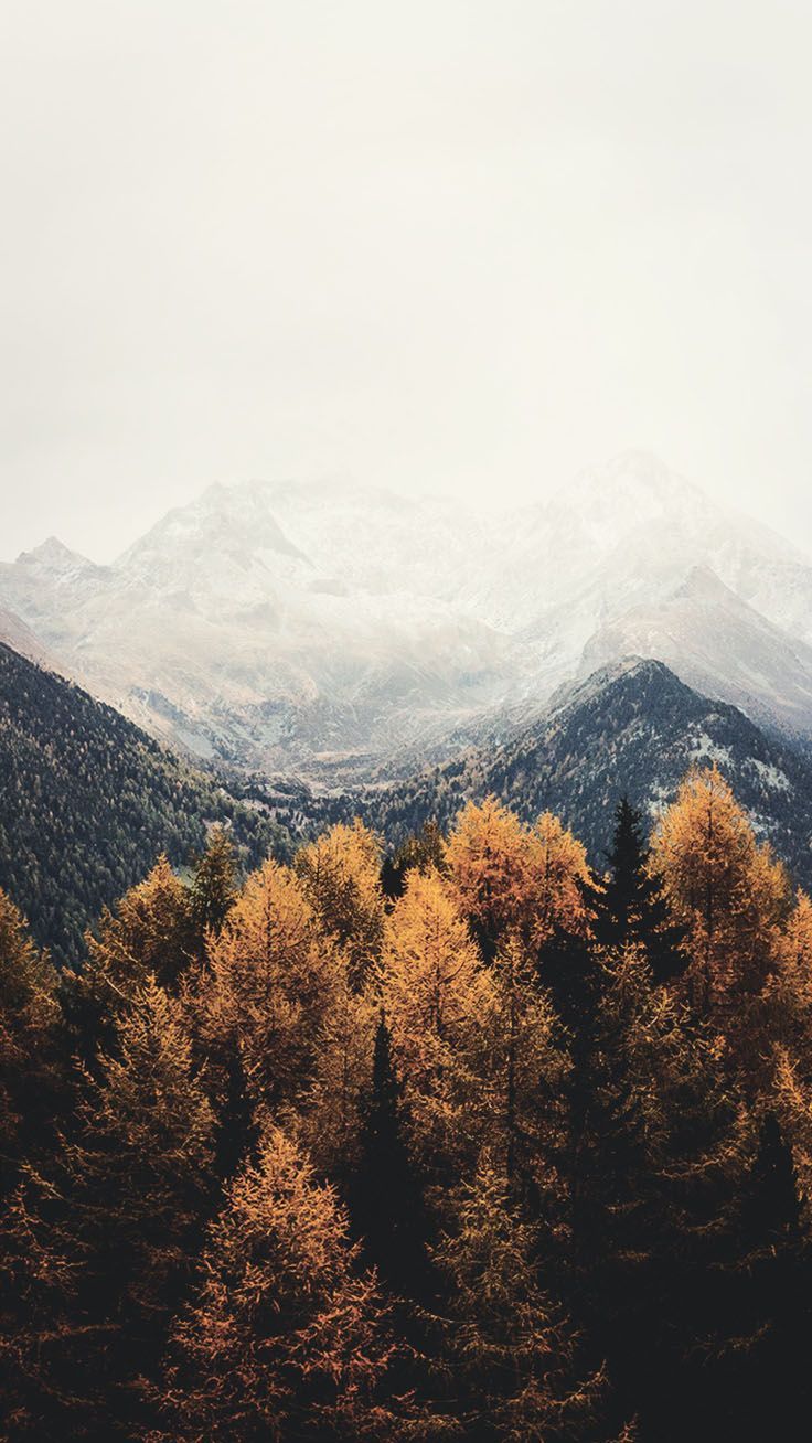 45 Free Beautiful Mountain Wallpapers For iPhone You Need See