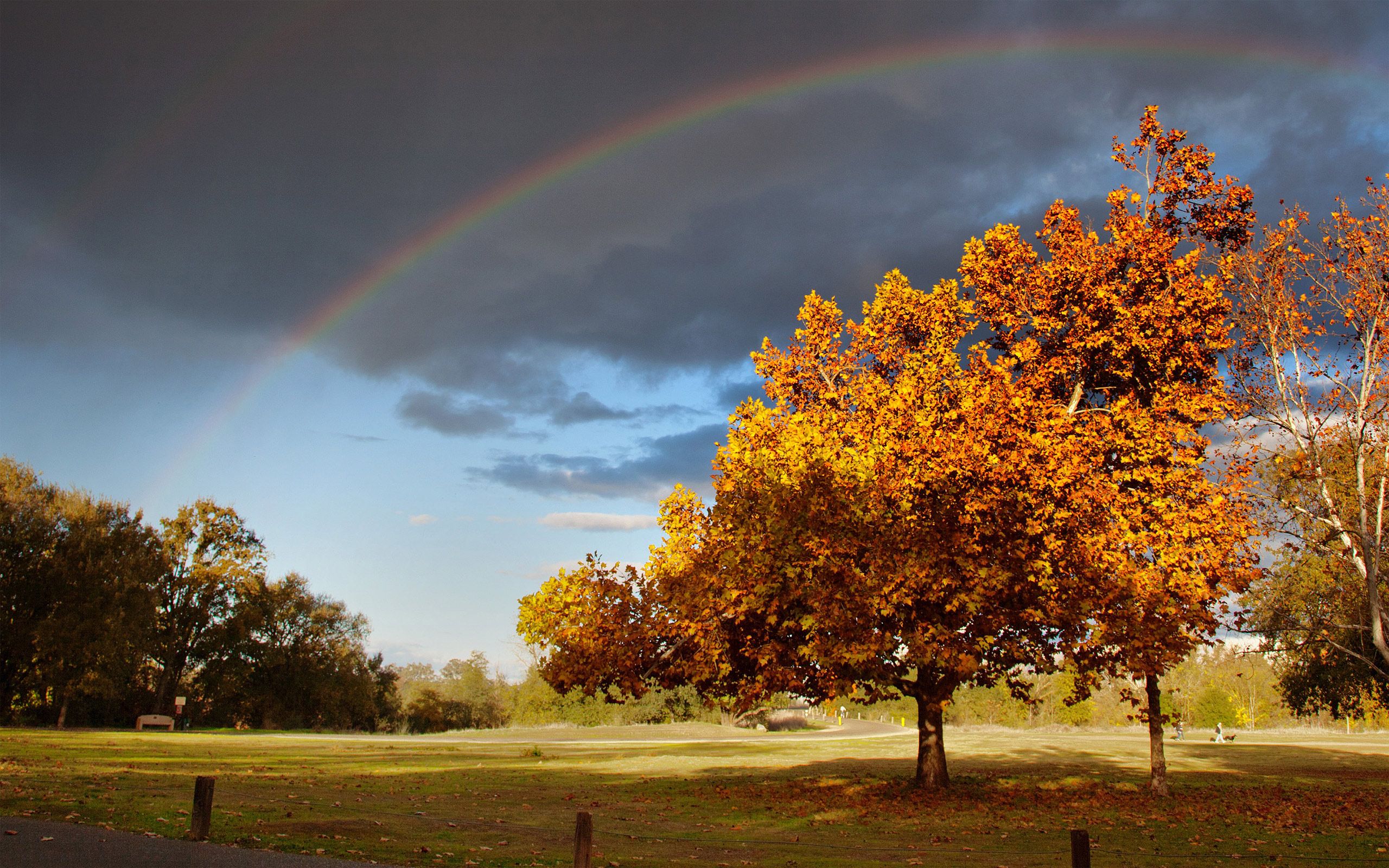 Rainbow Over Autumn Wallpapers - Wallpaper Cave