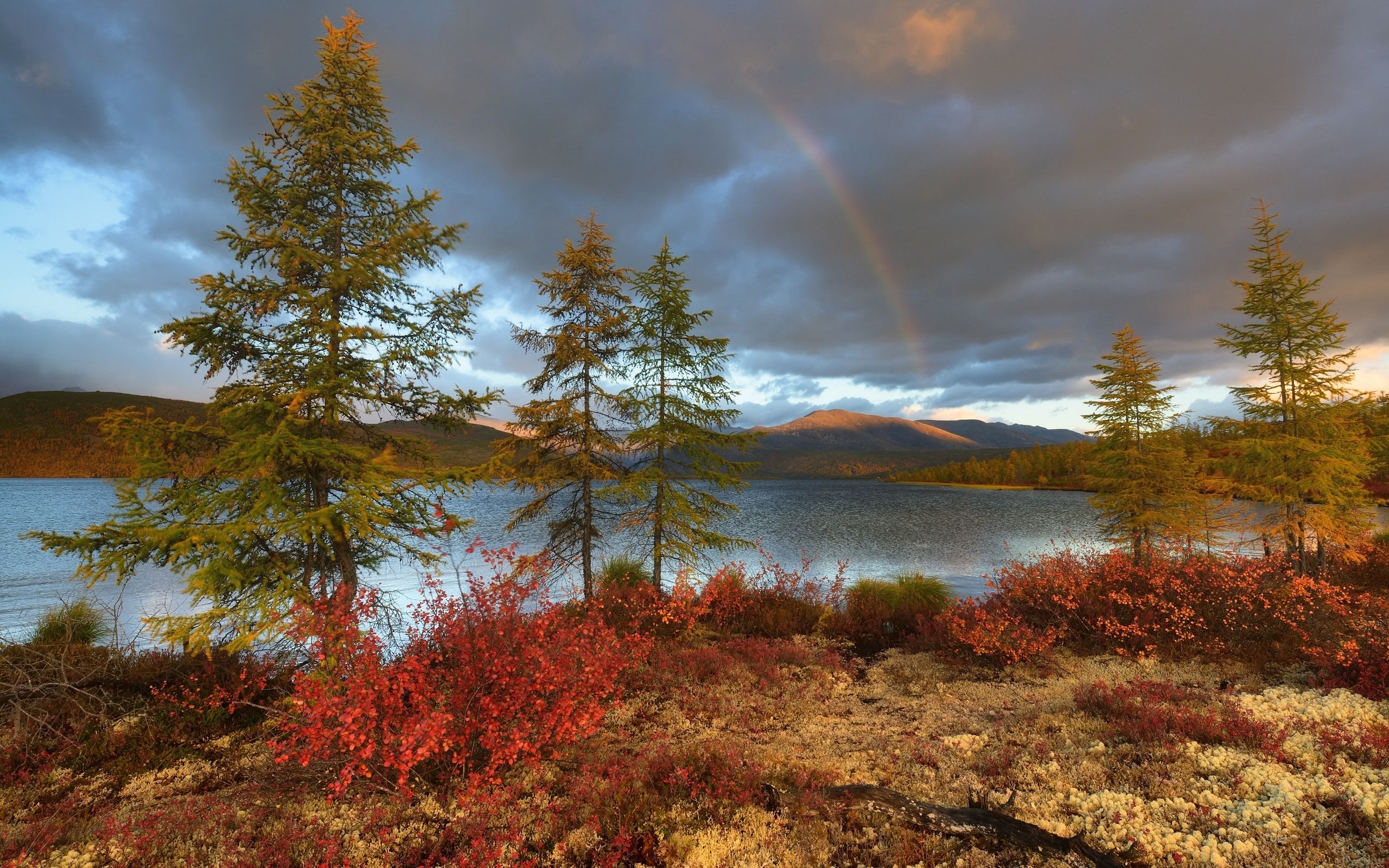  Rainbow  Over Autumn  Wallpapers Wallpaper Cave