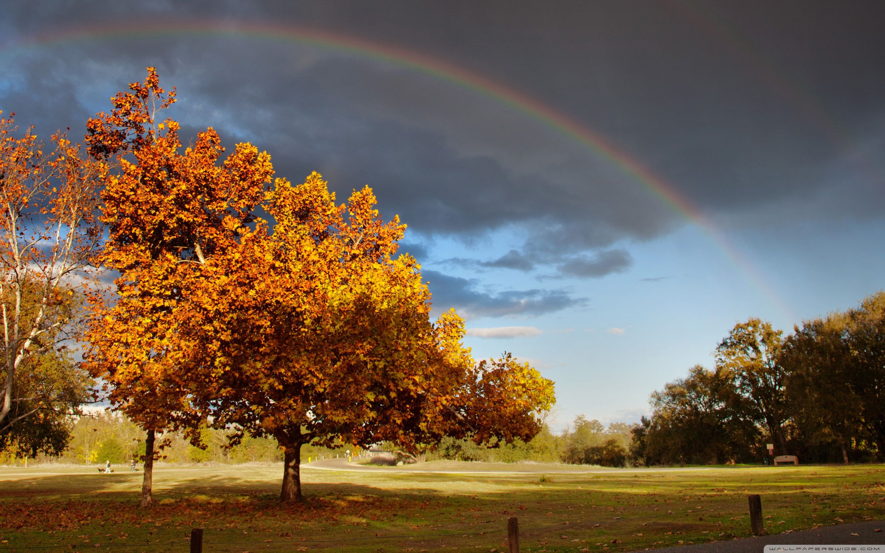 Rainbow Over Autumn Wallpapers - Wallpaper Cave