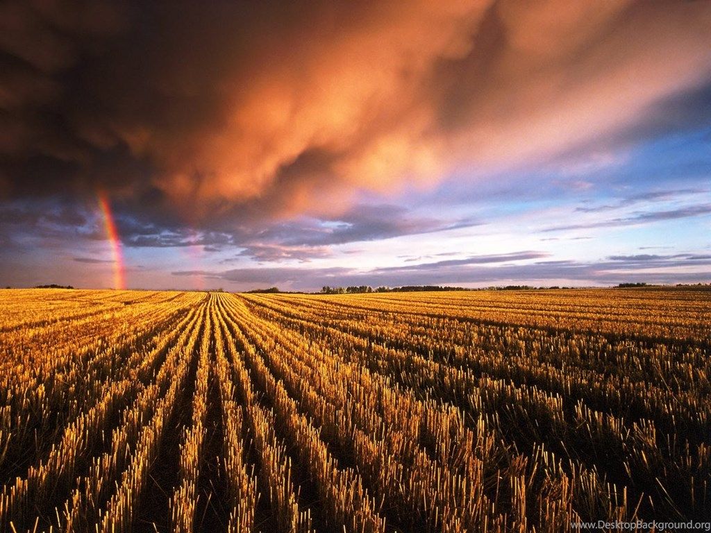 Desktop Wallpaper · Gallery · Nature · Autumn Rainbow Desktop